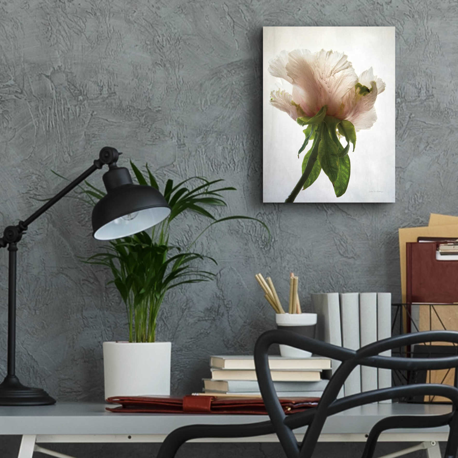 Epic Art 'Translucent Peony VII' by Debra Van Swearingen, Acrylic Glass Wall Art,12x16