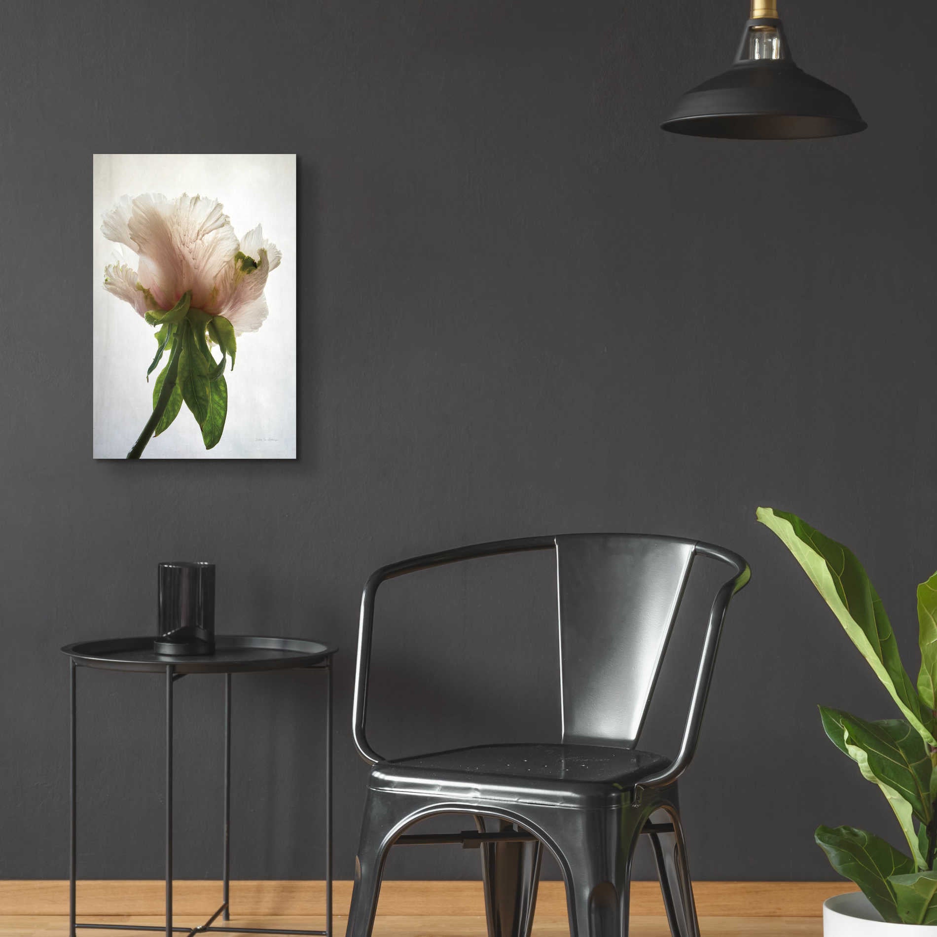 Epic Art 'Translucent Peony VII' by Debra Van Swearingen, Acrylic Glass Wall Art,16x24