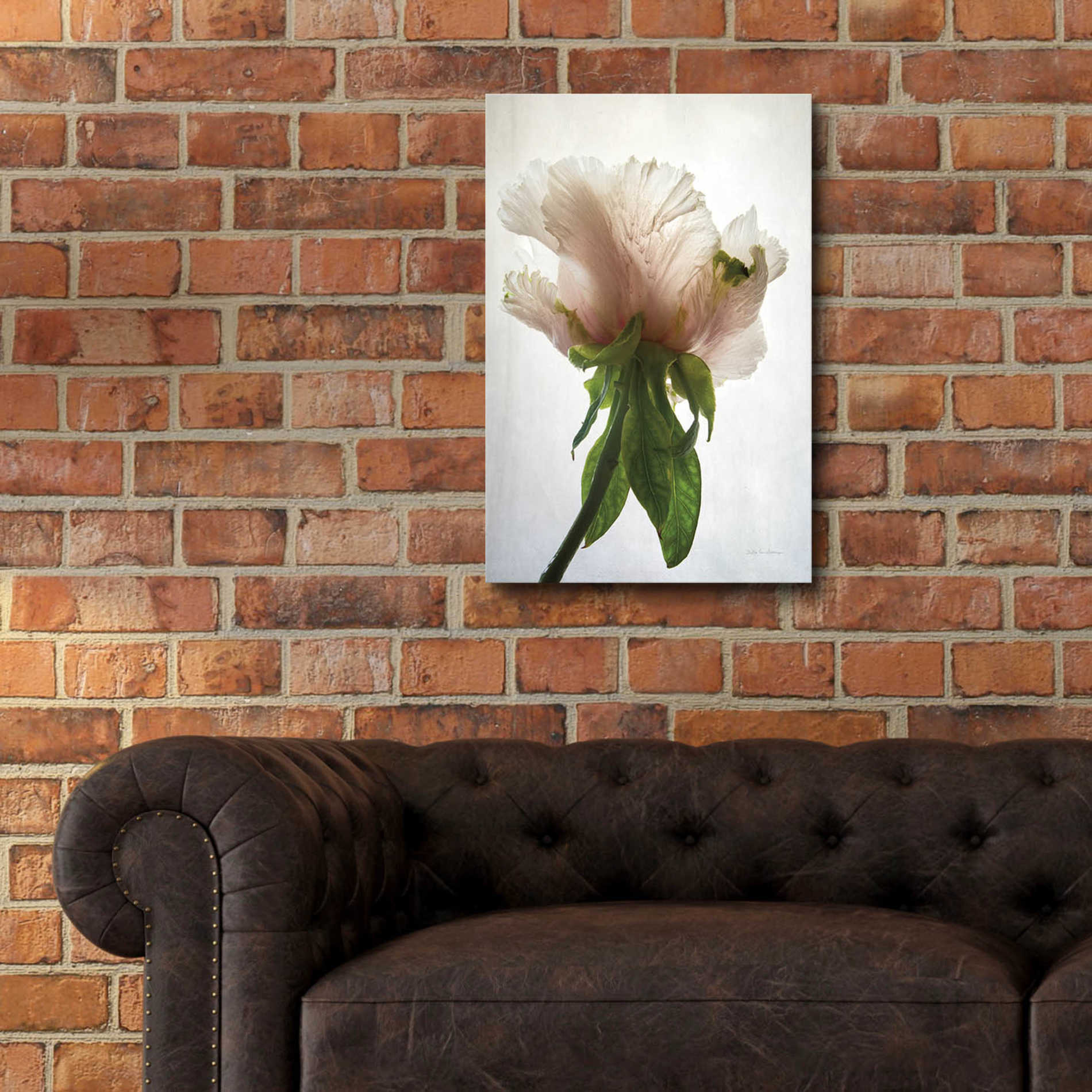 Epic Art 'Translucent Peony VII' by Debra Van Swearingen, Acrylic Glass Wall Art,16x24