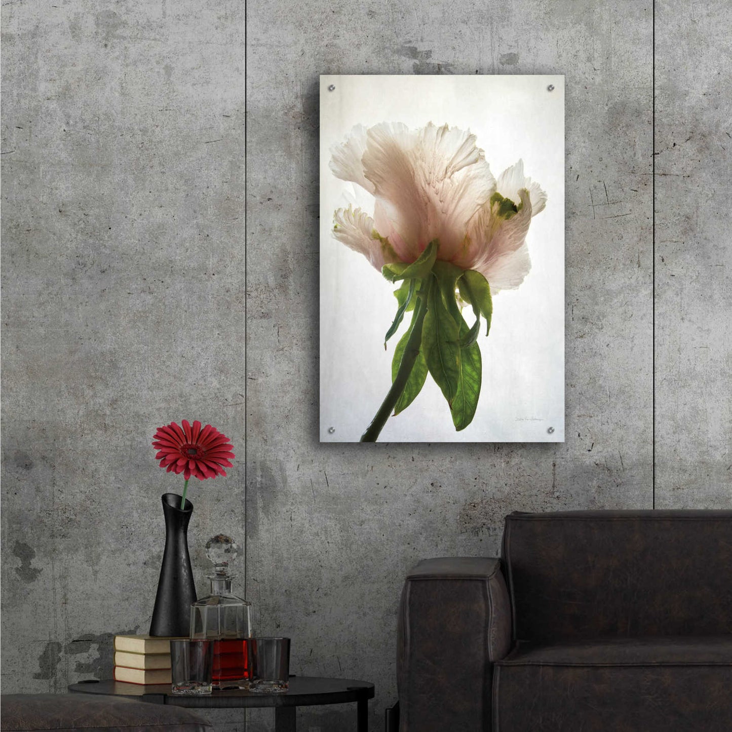 Epic Art 'Translucent Peony VII' by Debra Van Swearingen, Acrylic Glass Wall Art,24x36