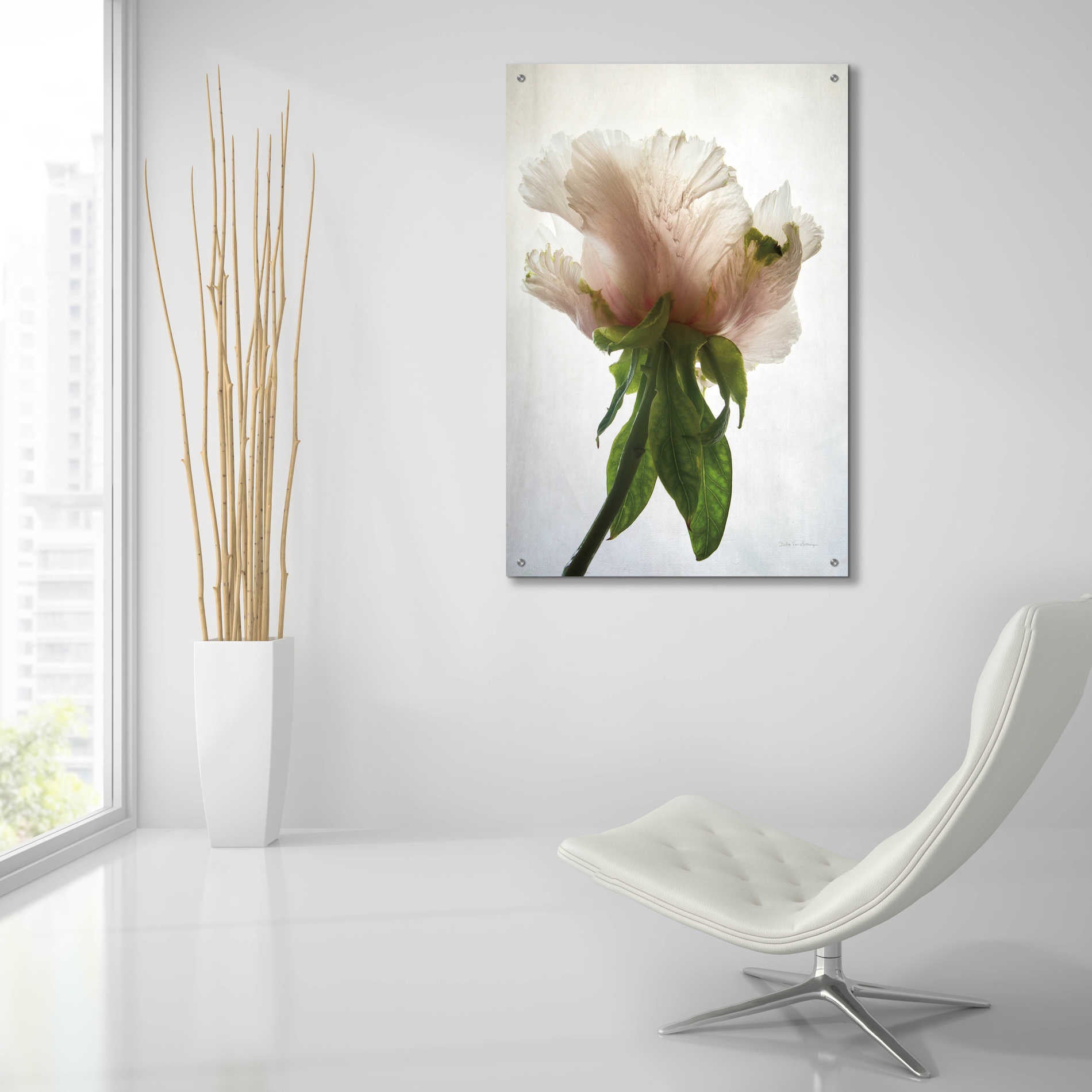 Epic Art 'Translucent Peony VII' by Debra Van Swearingen, Acrylic Glass Wall Art,24x36