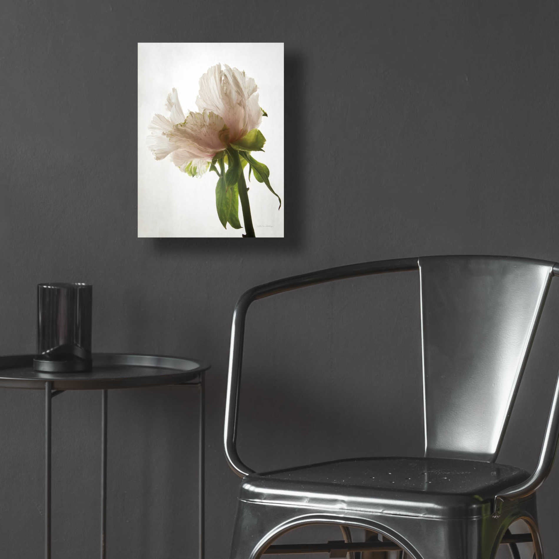 Epic Art 'Translucent Peony VIII' by Debra Van Swearingen, Acrylic Glass Wall Art,12x16