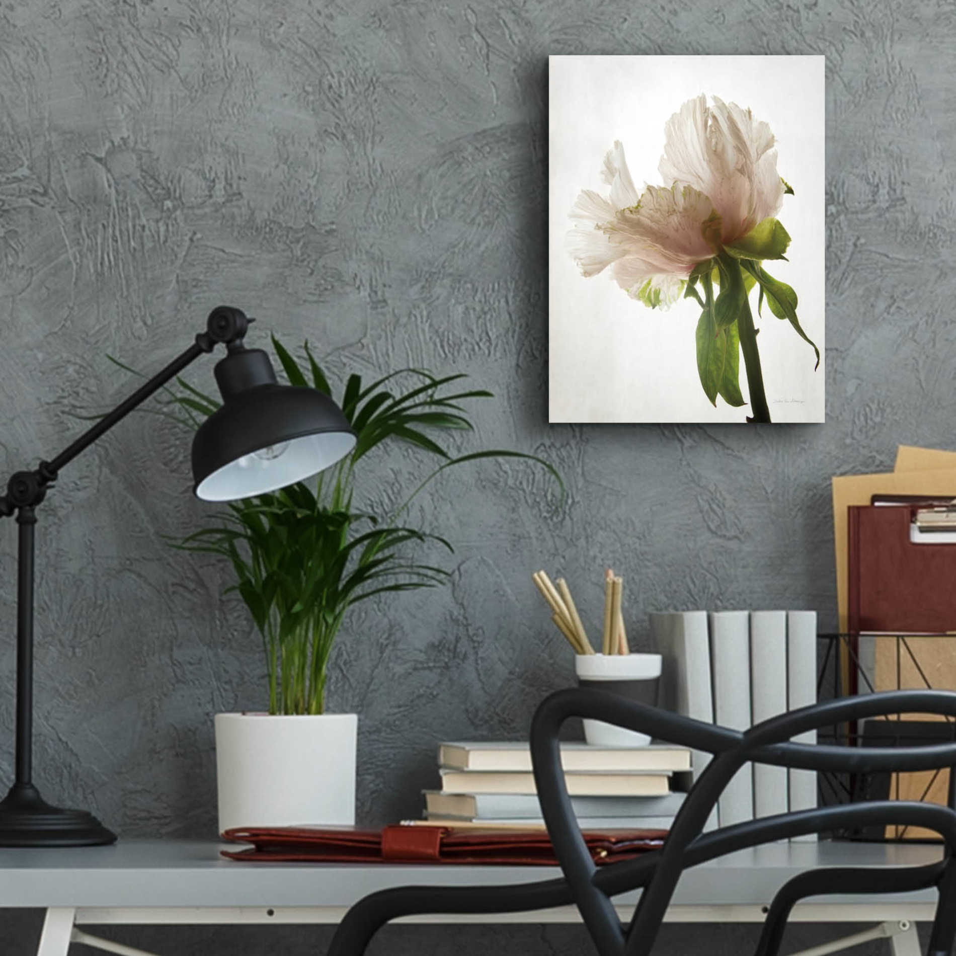 Epic Art 'Translucent Peony VIII' by Debra Van Swearingen, Acrylic Glass Wall Art,12x16