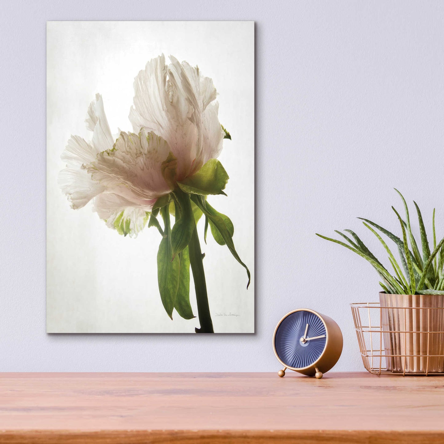 Epic Art 'Translucent Peony VIII' by Debra Van Swearingen, Acrylic Glass Wall Art,12x16