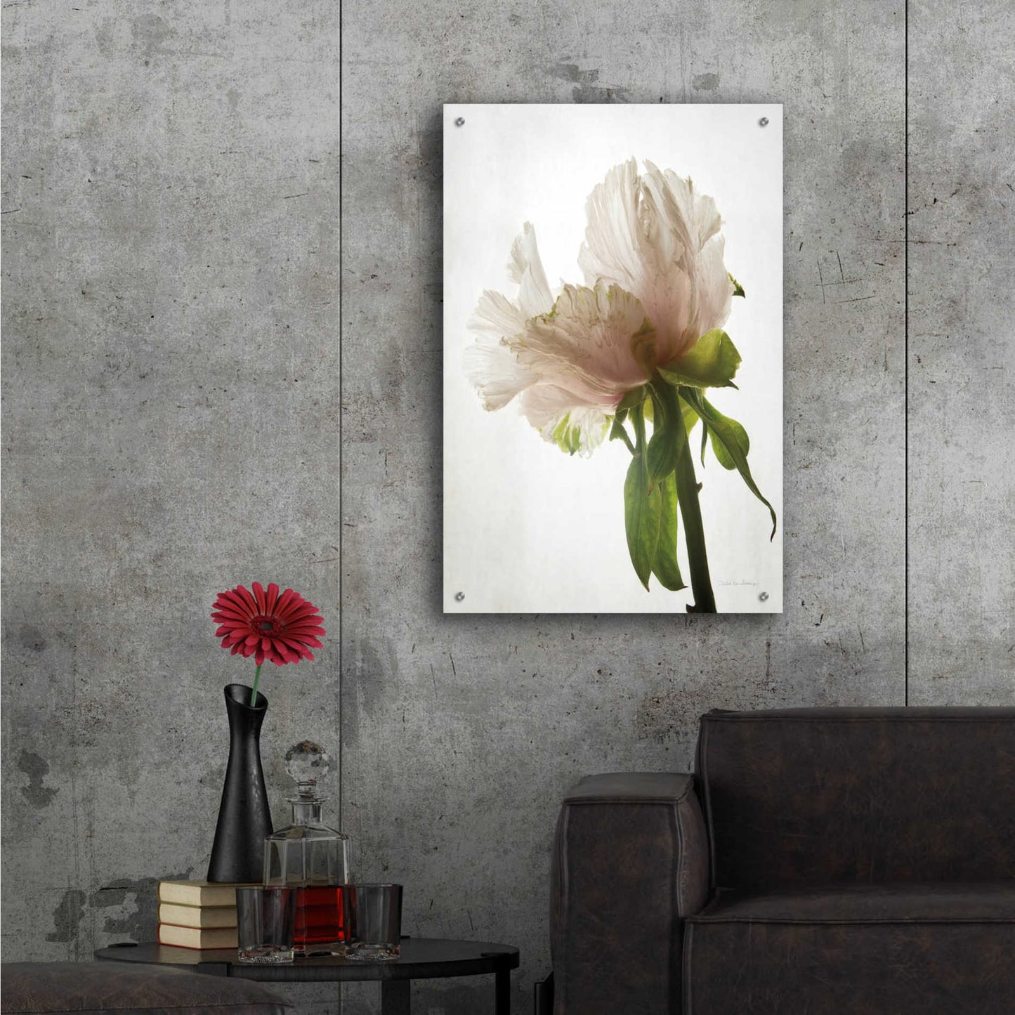 Epic Art 'Translucent Peony VIII' by Debra Van Swearingen, Acrylic Glass Wall Art,24x36