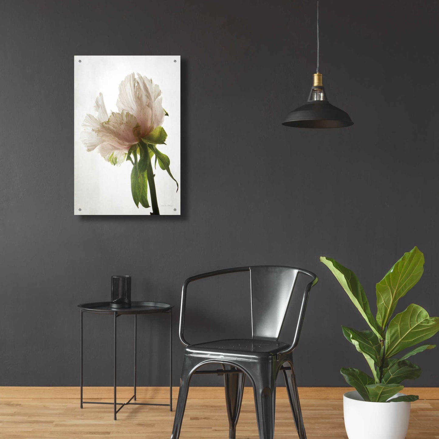 Epic Art 'Translucent Peony VIII' by Debra Van Swearingen, Acrylic Glass Wall Art,24x36