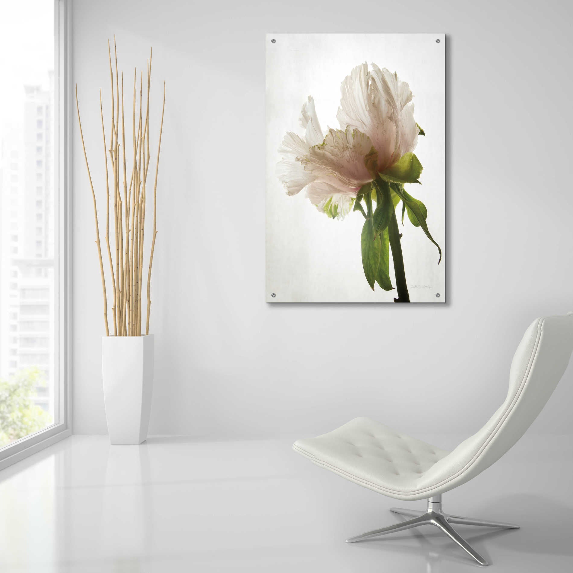 Epic Art 'Translucent Peony VIII' by Debra Van Swearingen, Acrylic Glass Wall Art,24x36