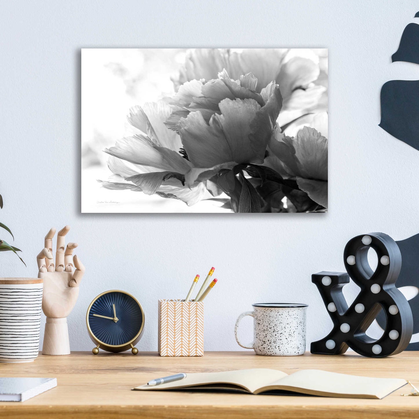 Epic Art 'Translucent Peony IBW' by Debra Van Swearingen, Acrylic Glass Wall Art,16x12