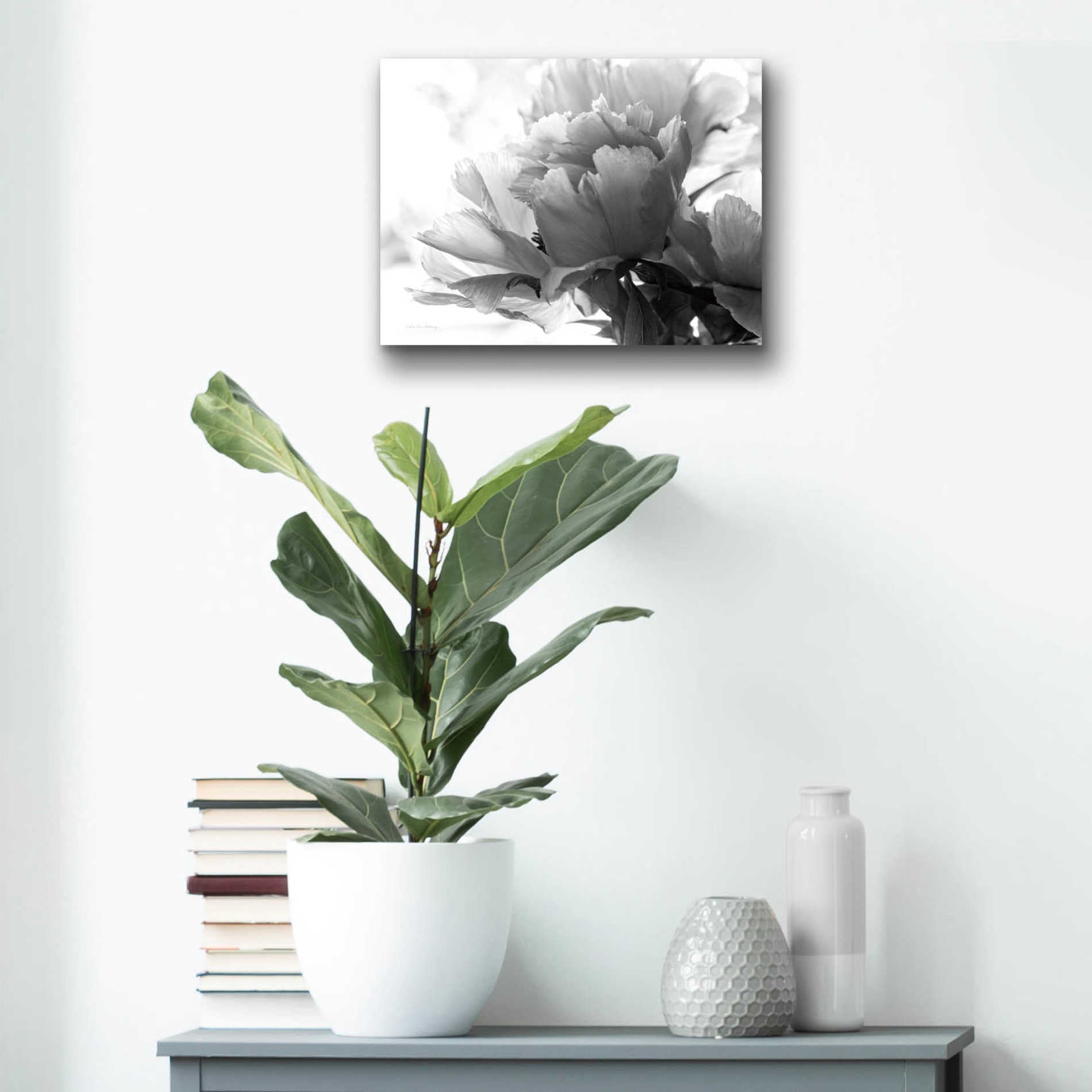 Epic Art 'Translucent Peony IBW' by Debra Van Swearingen, Acrylic Glass Wall Art,16x12