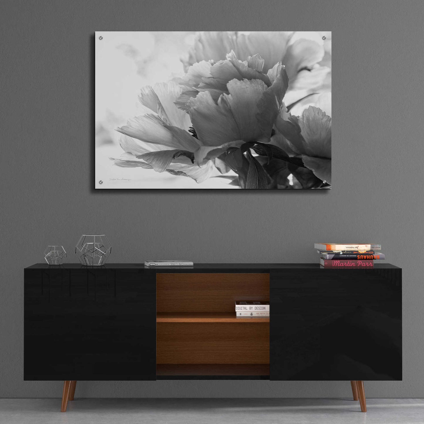 Epic Art 'Translucent Peony IBW' by Debra Van Swearingen, Acrylic Glass Wall Art,36x24