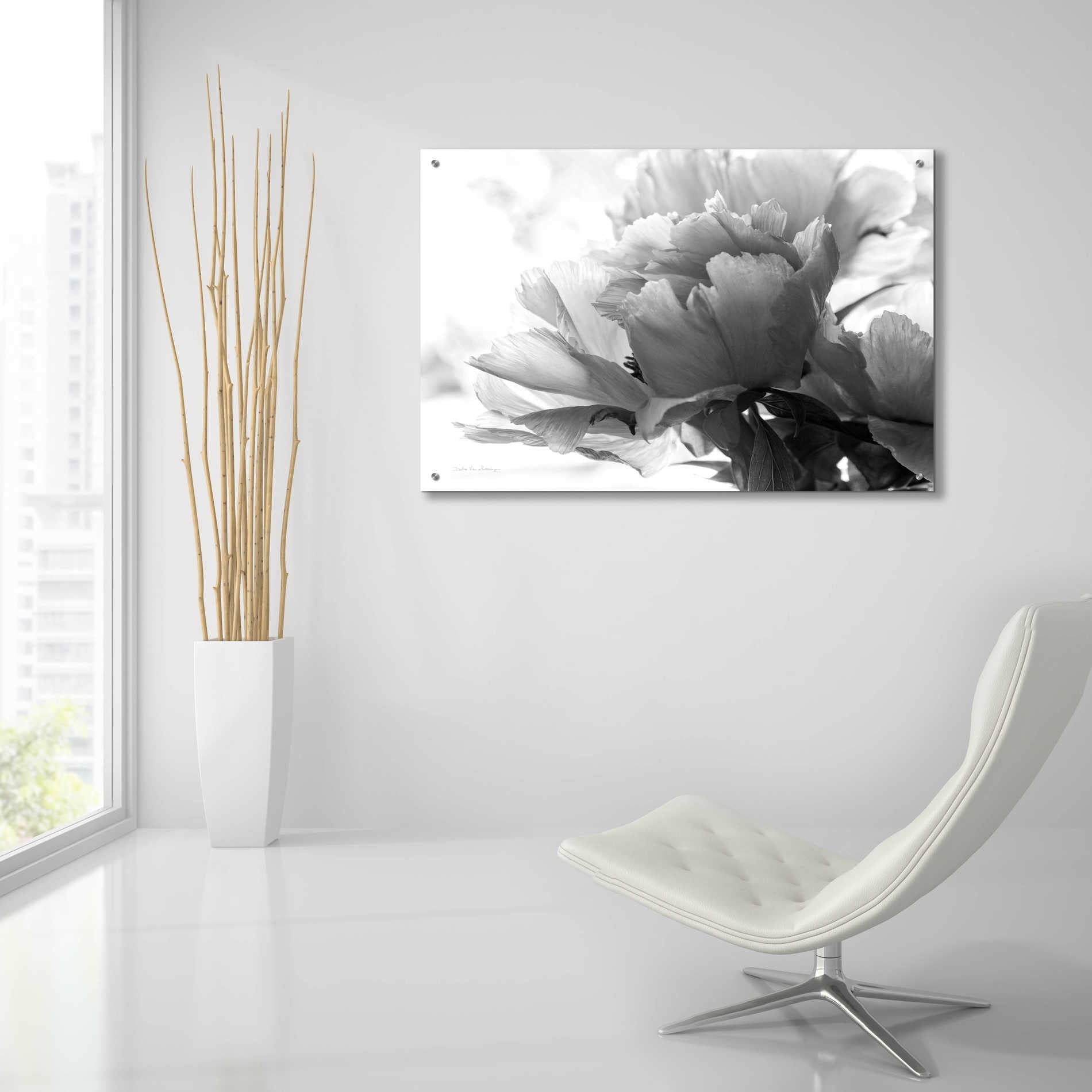 Epic Art 'Translucent Peony IBW' by Debra Van Swearingen, Acrylic Glass Wall Art,36x24