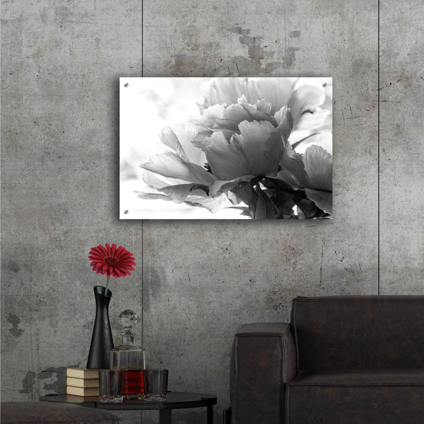 Epic Art 'Translucent Peony IBW' by Debra Van Swearingen, Acrylic Glass Wall Art,36x24