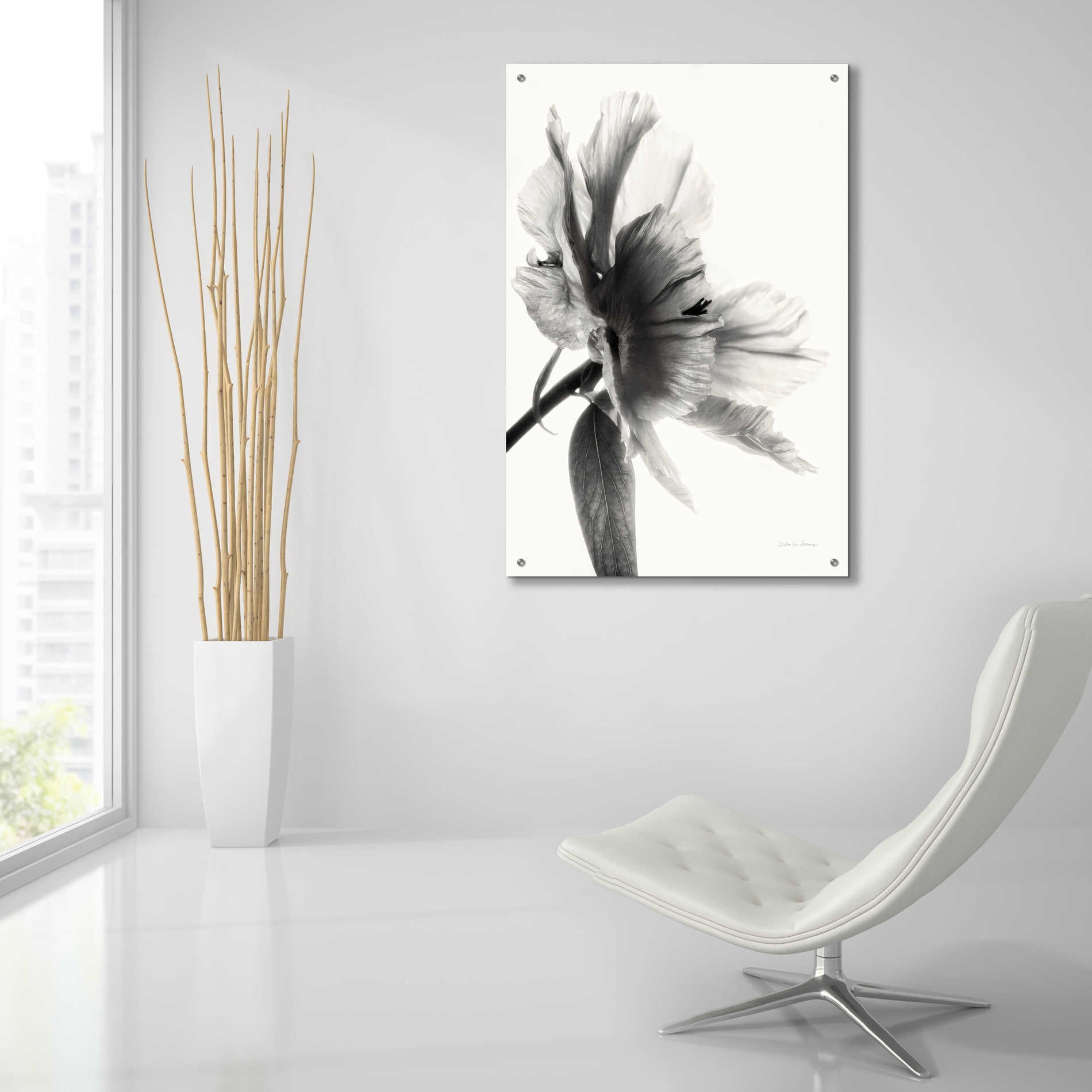 Epic Art 'Translucent Peony IIBW' by Debra Van Swearingen, Acrylic Glass Wall Art,24x36