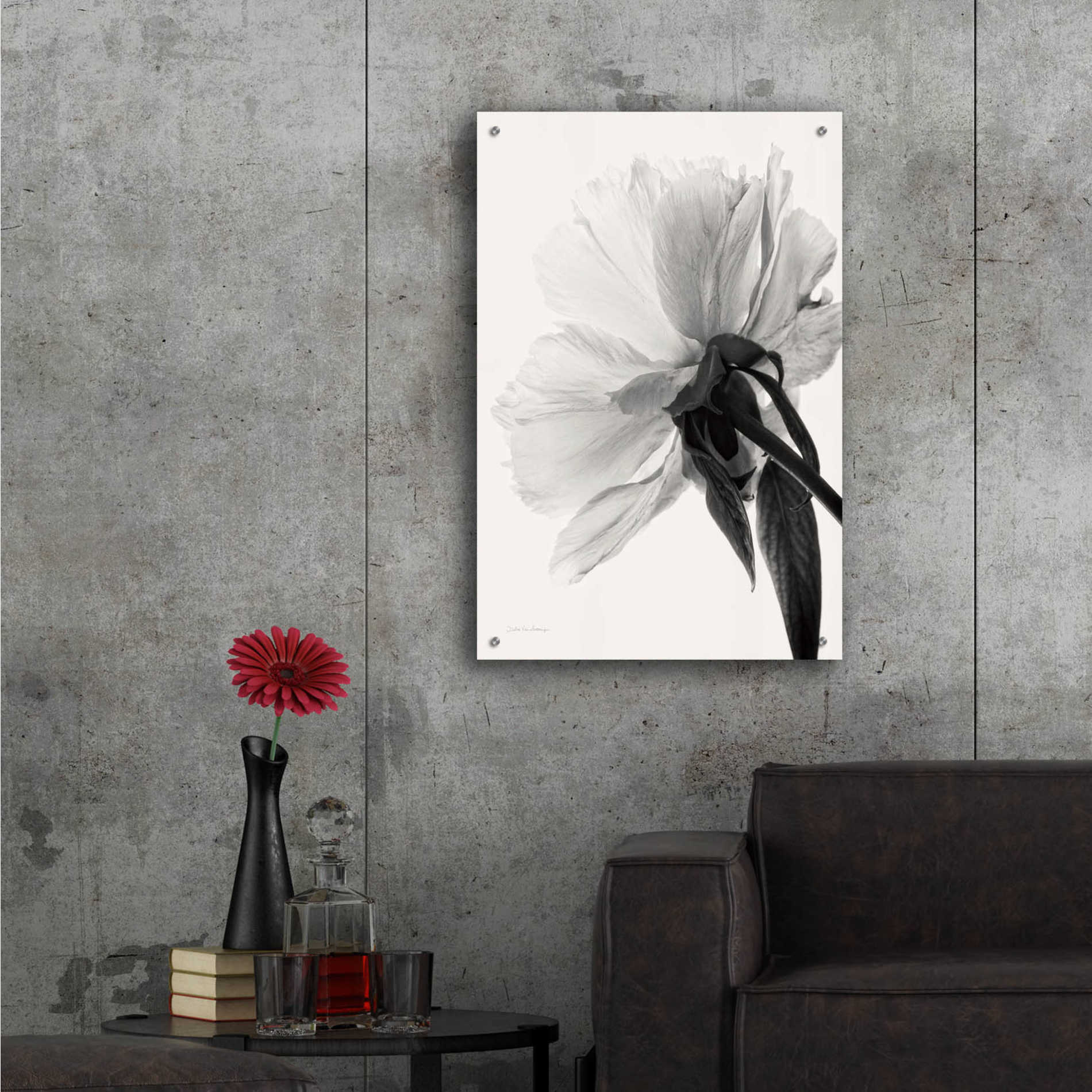 Epic Art 'Translucent Peony IIIBW' by Debra Van Swearingen, Acrylic Glass Wall Art,24x36