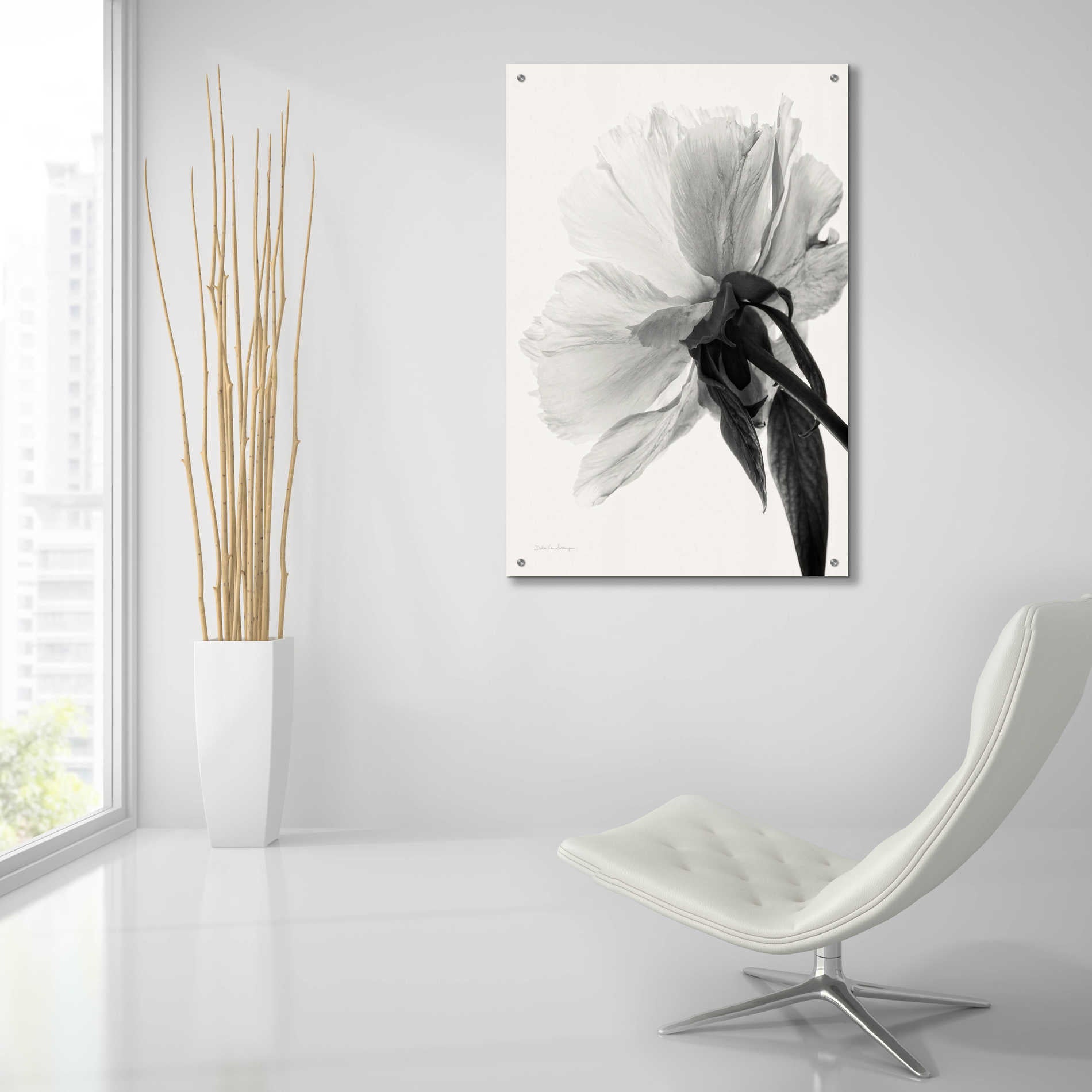 Epic Art 'Translucent Peony IIIBW' by Debra Van Swearingen, Acrylic Glass Wall Art,24x36