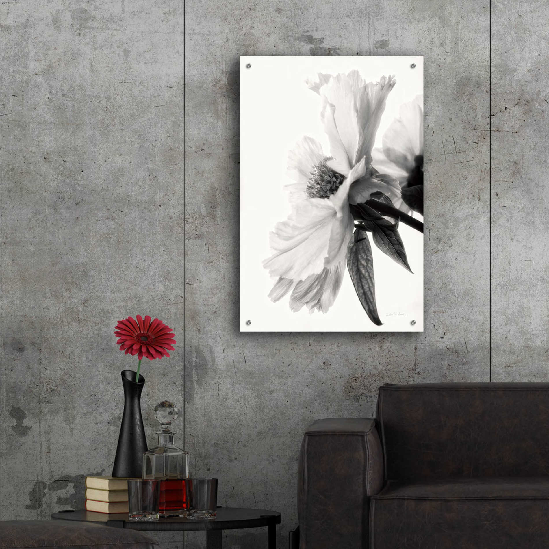 Epic Art 'Translucent Peony IVBW' by Debra Van Swearingen, Acrylic Glass Wall Art,24x36