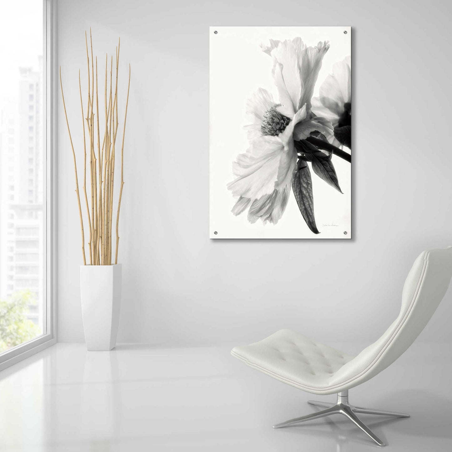 Epic Art 'Translucent Peony IVBW' by Debra Van Swearingen, Acrylic Glass Wall Art,24x36