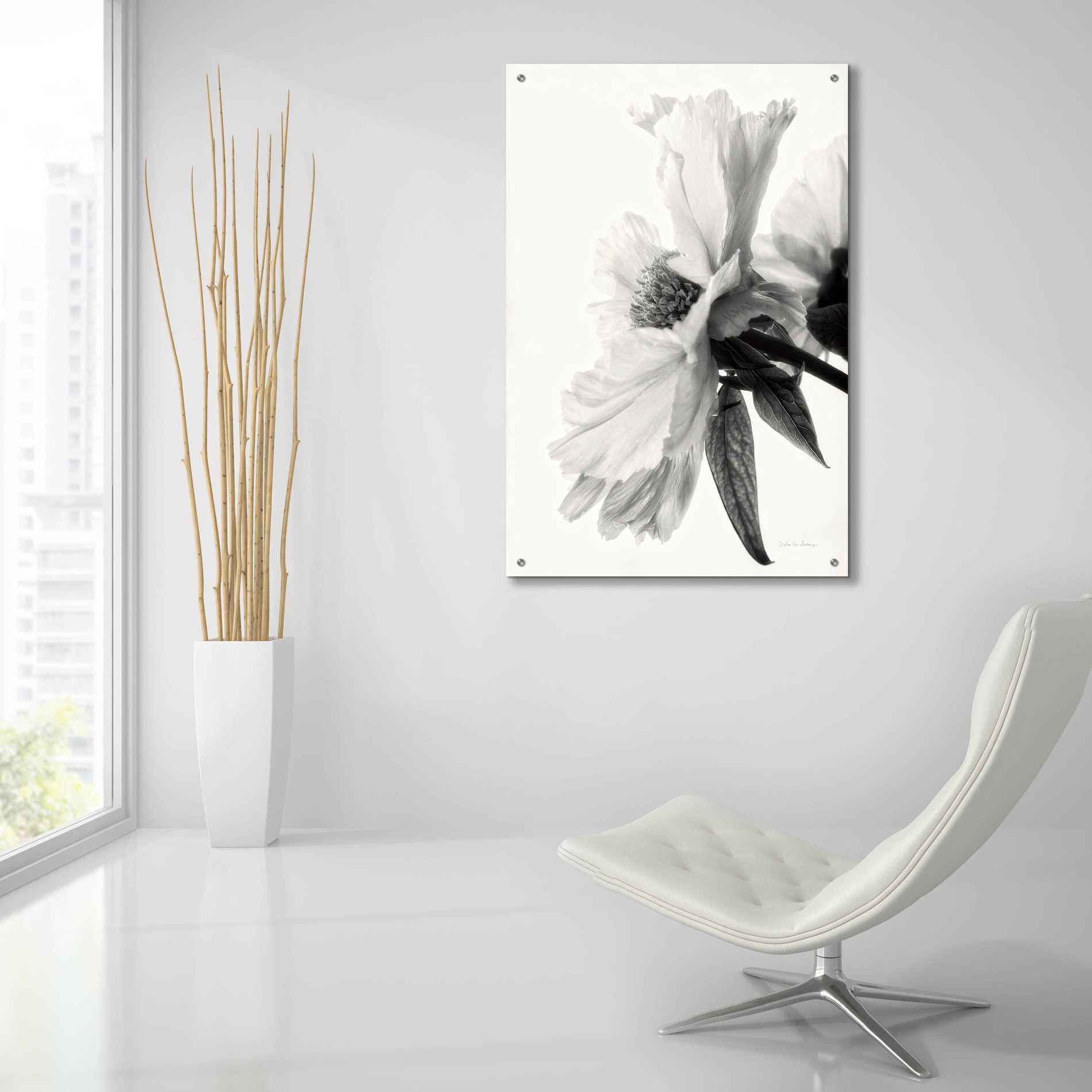 Epic Art 'Translucent Peony IVBW' by Debra Van Swearingen, Acrylic Glass Wall Art,24x36