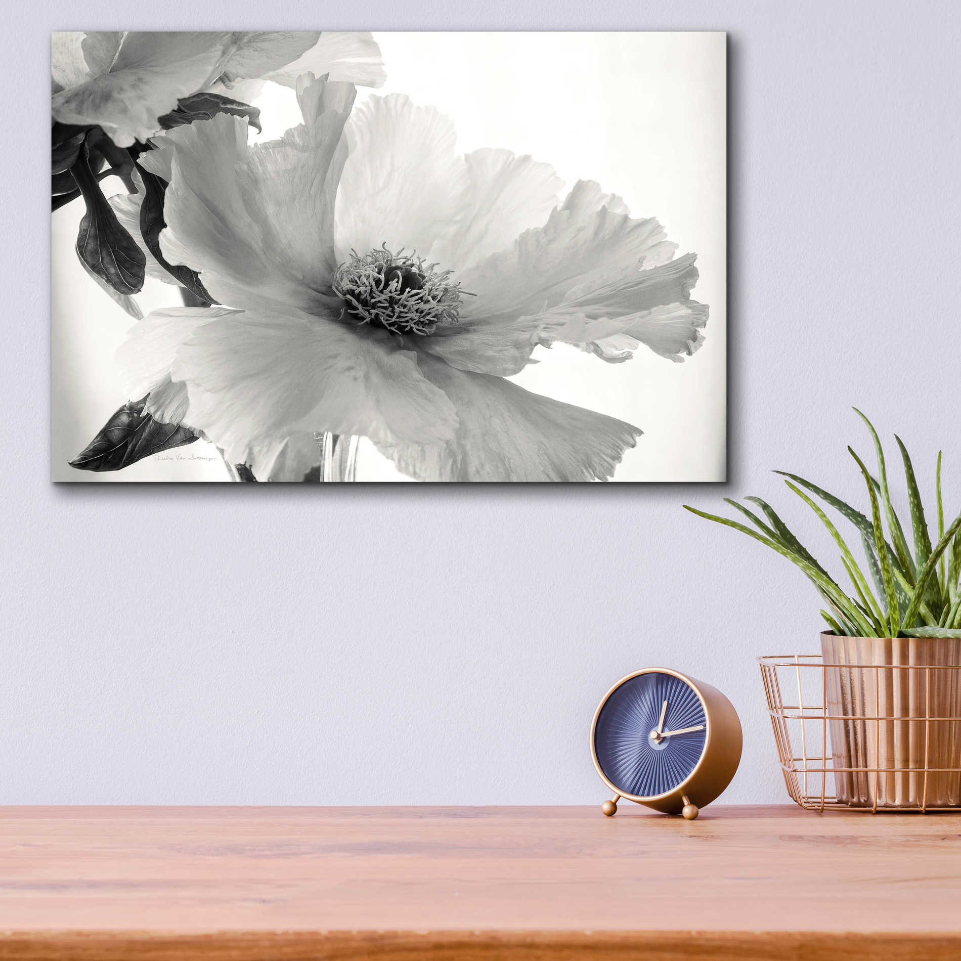 Epic Art 'Translucent Peony VIBW' by Debra Van Swearingen, Acrylic Glass Wall Art,16x12