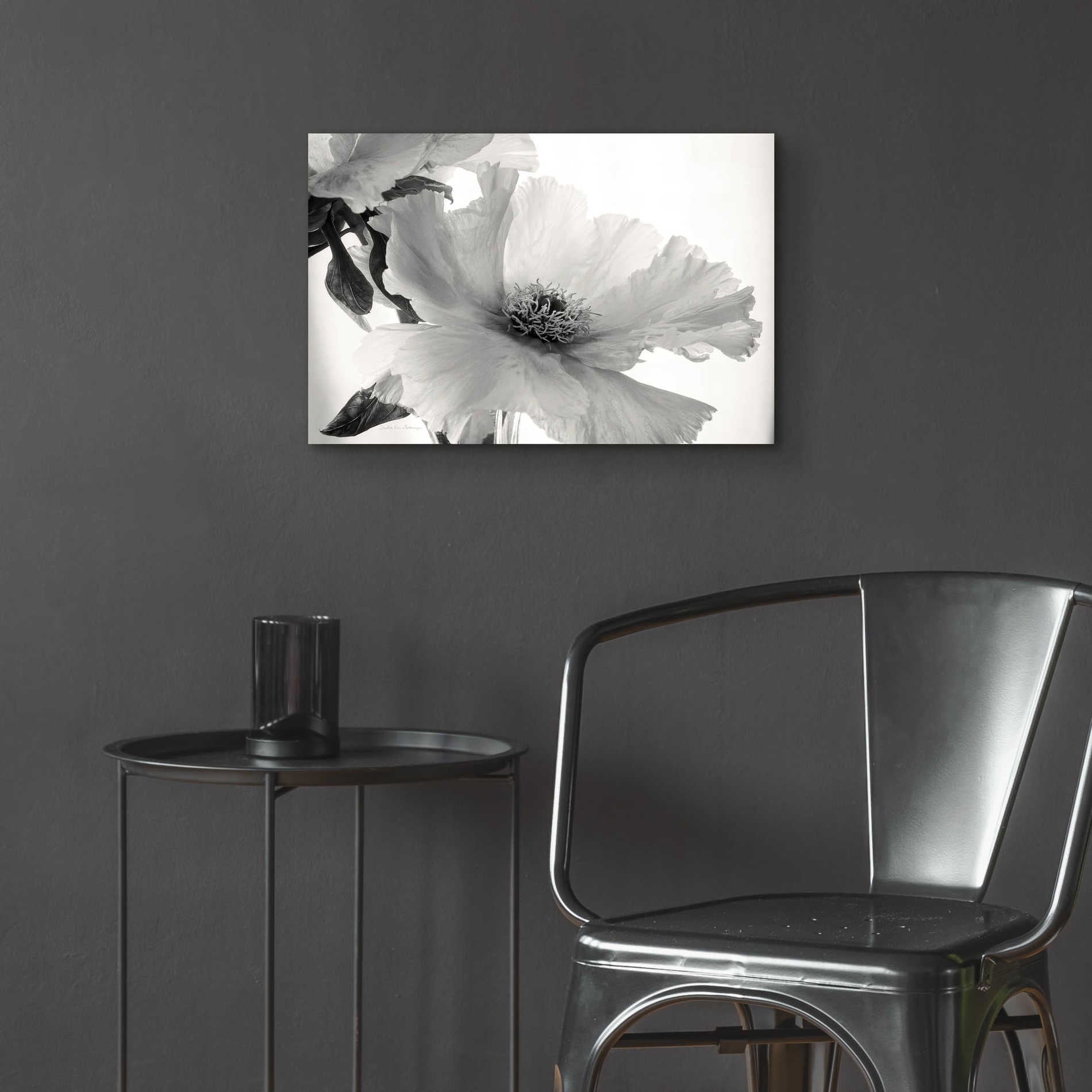 Epic Art 'Translucent Peony VIBW' by Debra Van Swearingen, Acrylic Glass Wall Art,24x16