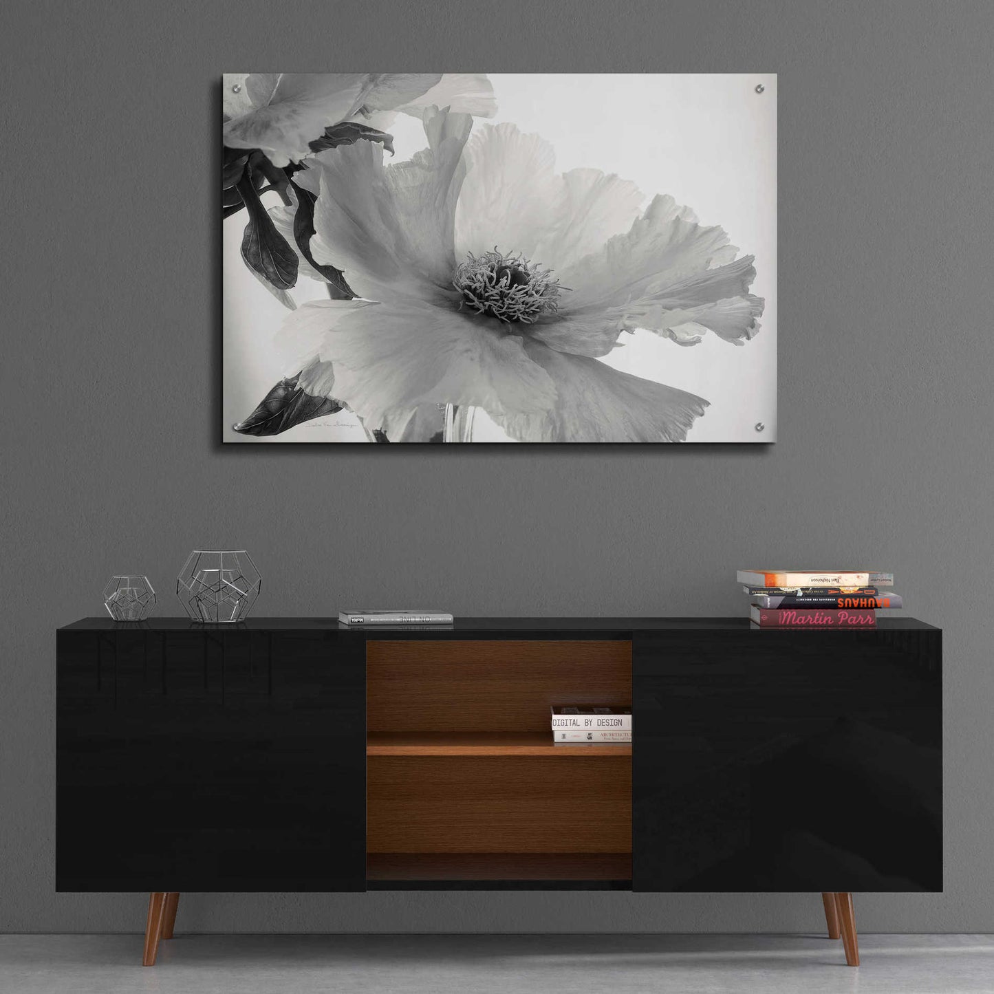 Epic Art 'Translucent Peony VIBW' by Debra Van Swearingen, Acrylic Glass Wall Art,36x24