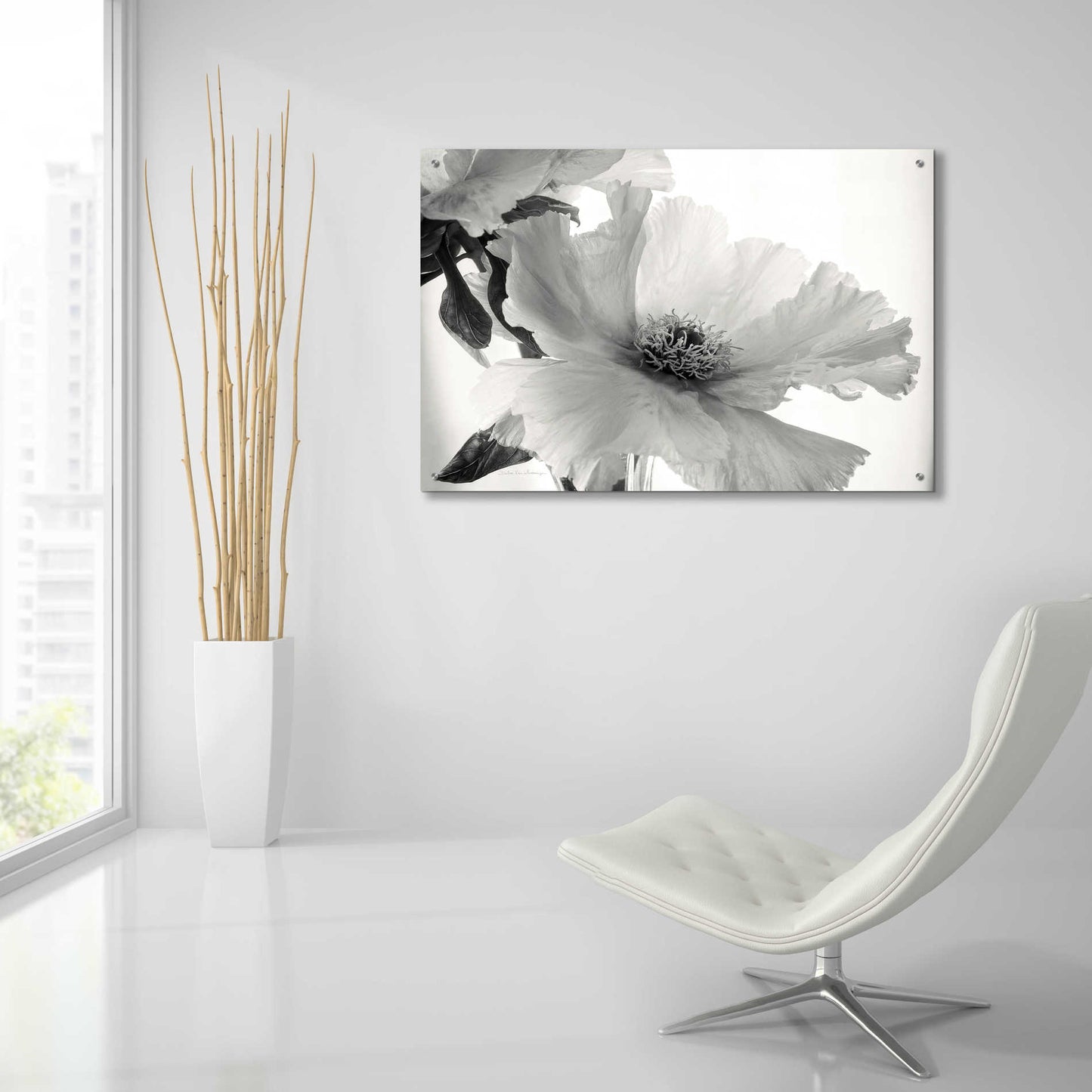 Epic Art 'Translucent Peony VIBW' by Debra Van Swearingen, Acrylic Glass Wall Art,36x24