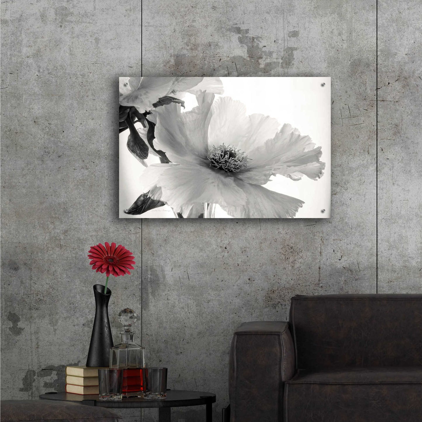 Epic Art 'Translucent Peony VIBW' by Debra Van Swearingen, Acrylic Glass Wall Art,36x24