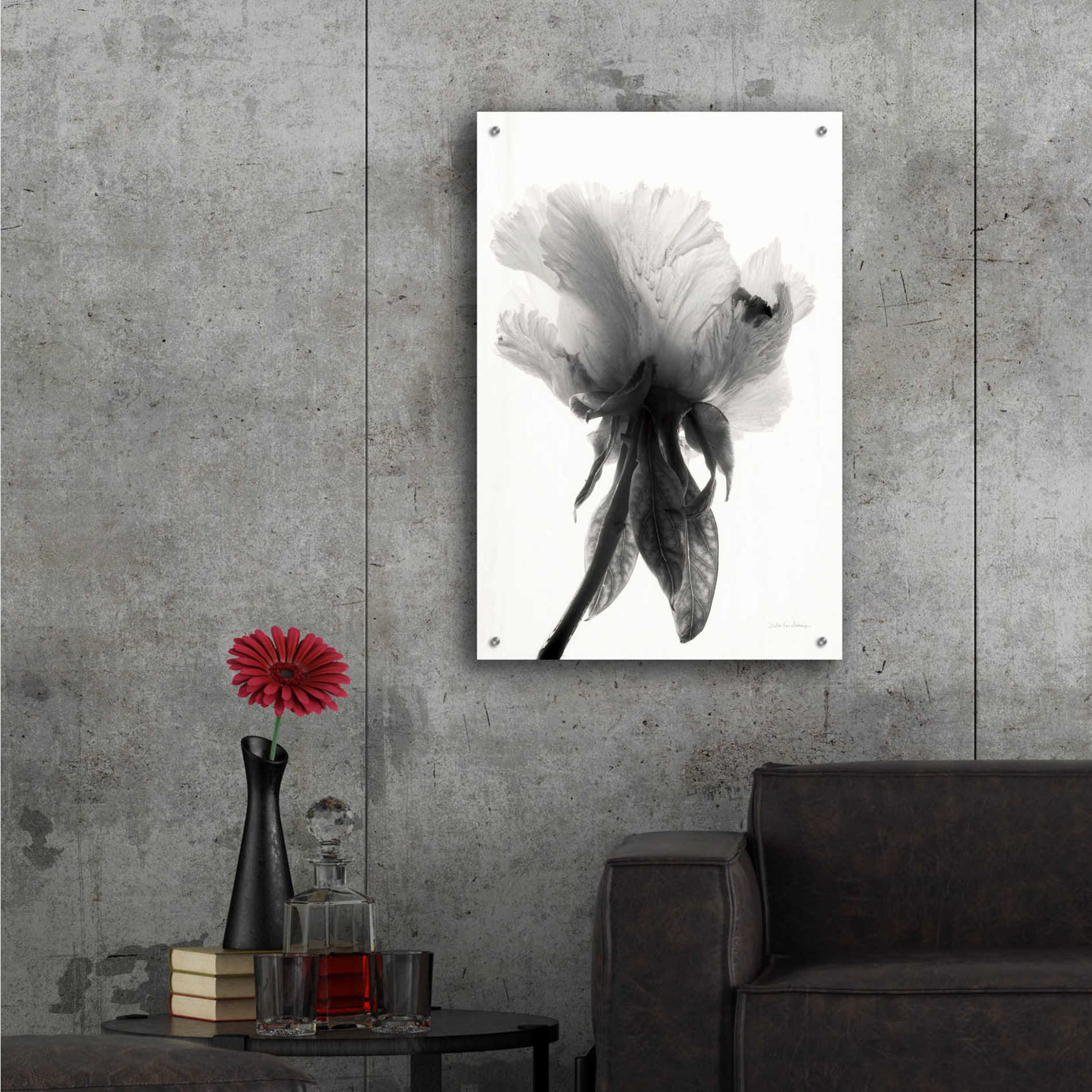 Epic Art 'Translucent Peony VIIBW' by Debra Van Swearingen, Acrylic Glass Wall Art,24x36