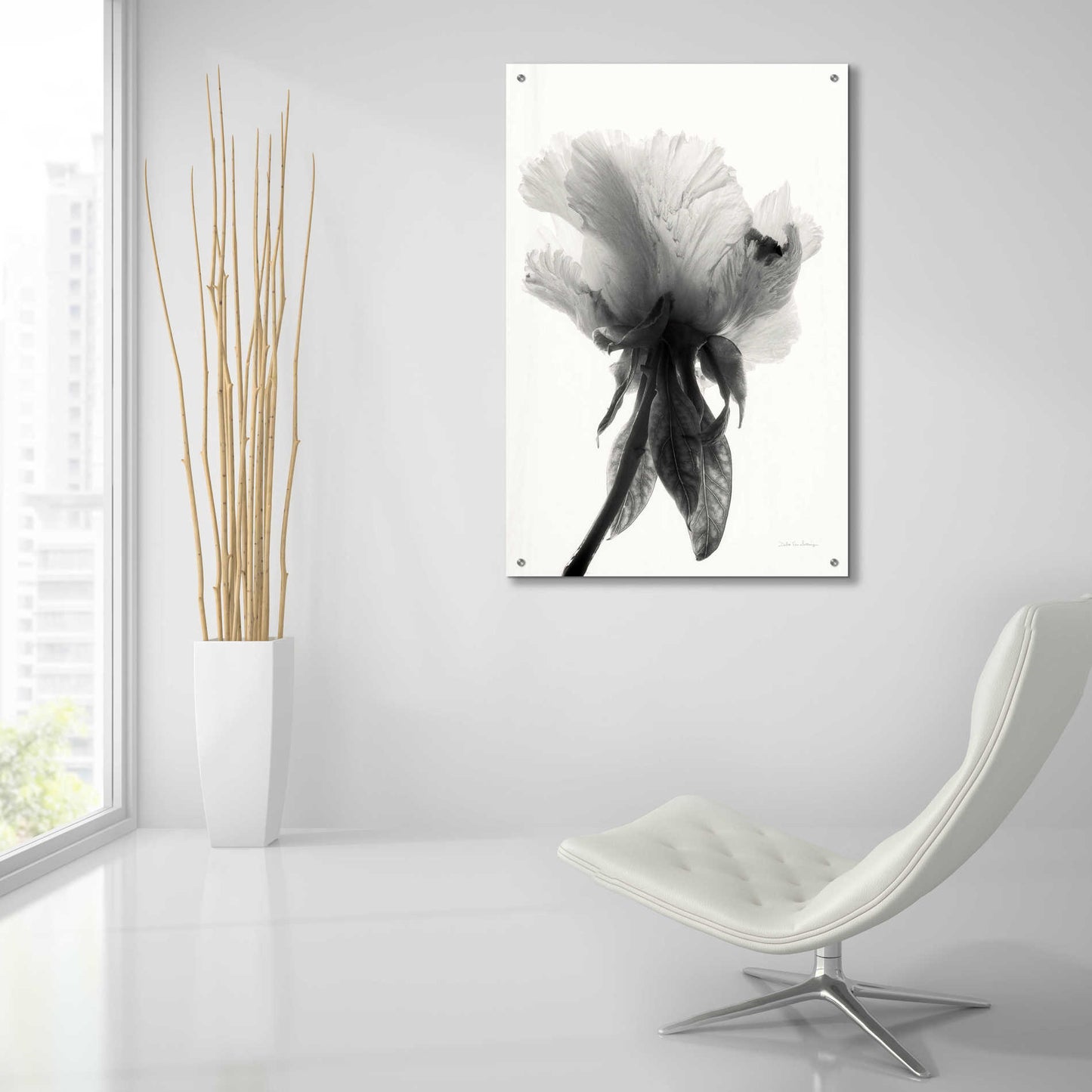 Epic Art 'Translucent Peony VIIBW' by Debra Van Swearingen, Acrylic Glass Wall Art,24x36