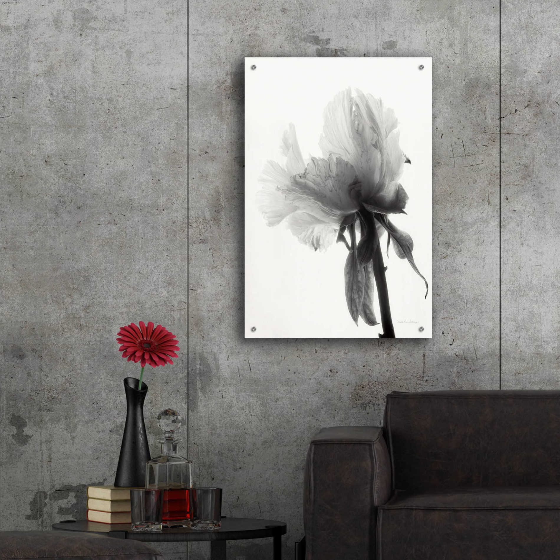 Epic Art 'Translucent Peony VIIIBW' by Debra Van Swearingen, Acrylic Glass Wall Art,24x36