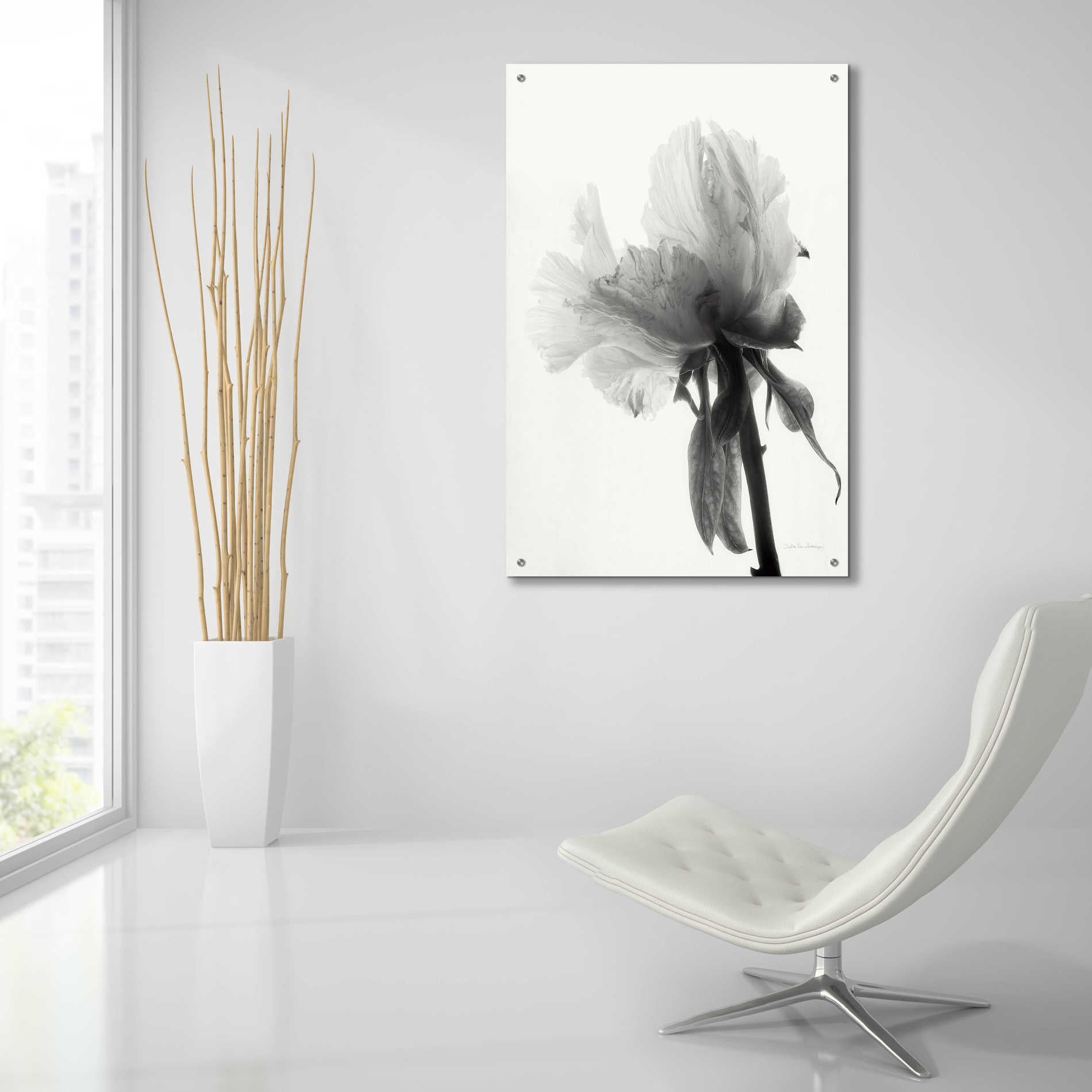 Epic Art 'Translucent Peony VIIIBW' by Debra Van Swearingen, Acrylic Glass Wall Art,24x36