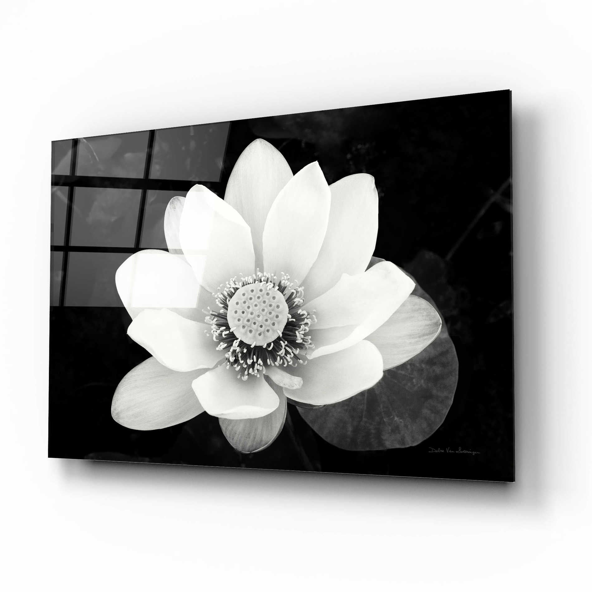 Epic Art 'Lotus Flower II v2' by Debra Van Swearingen, Acrylic Glass Wall Art,16x12