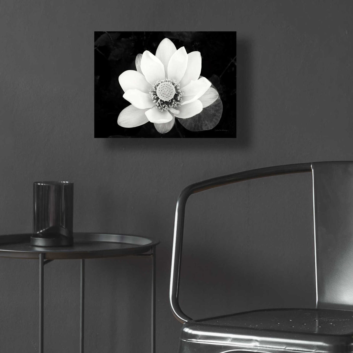 Epic Art 'Lotus Flower II v2' by Debra Van Swearingen, Acrylic Glass Wall Art,16x12