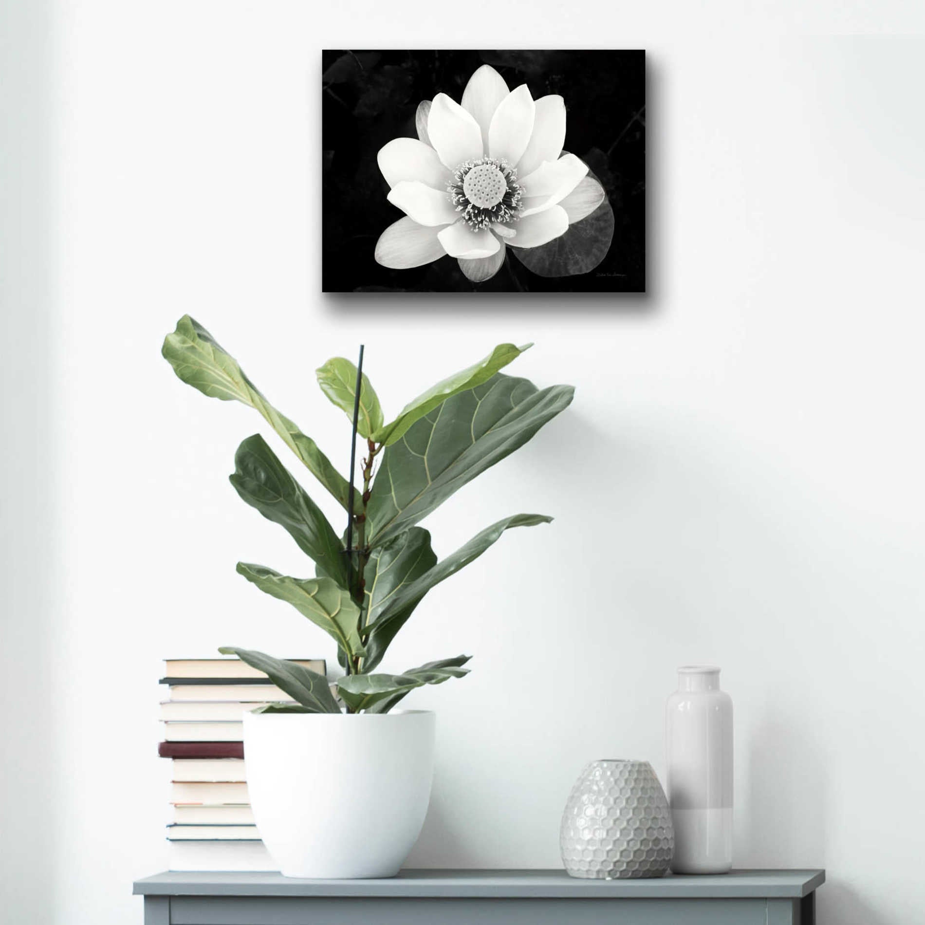 Epic Art 'Lotus Flower II v2' by Debra Van Swearingen, Acrylic Glass Wall Art,16x12