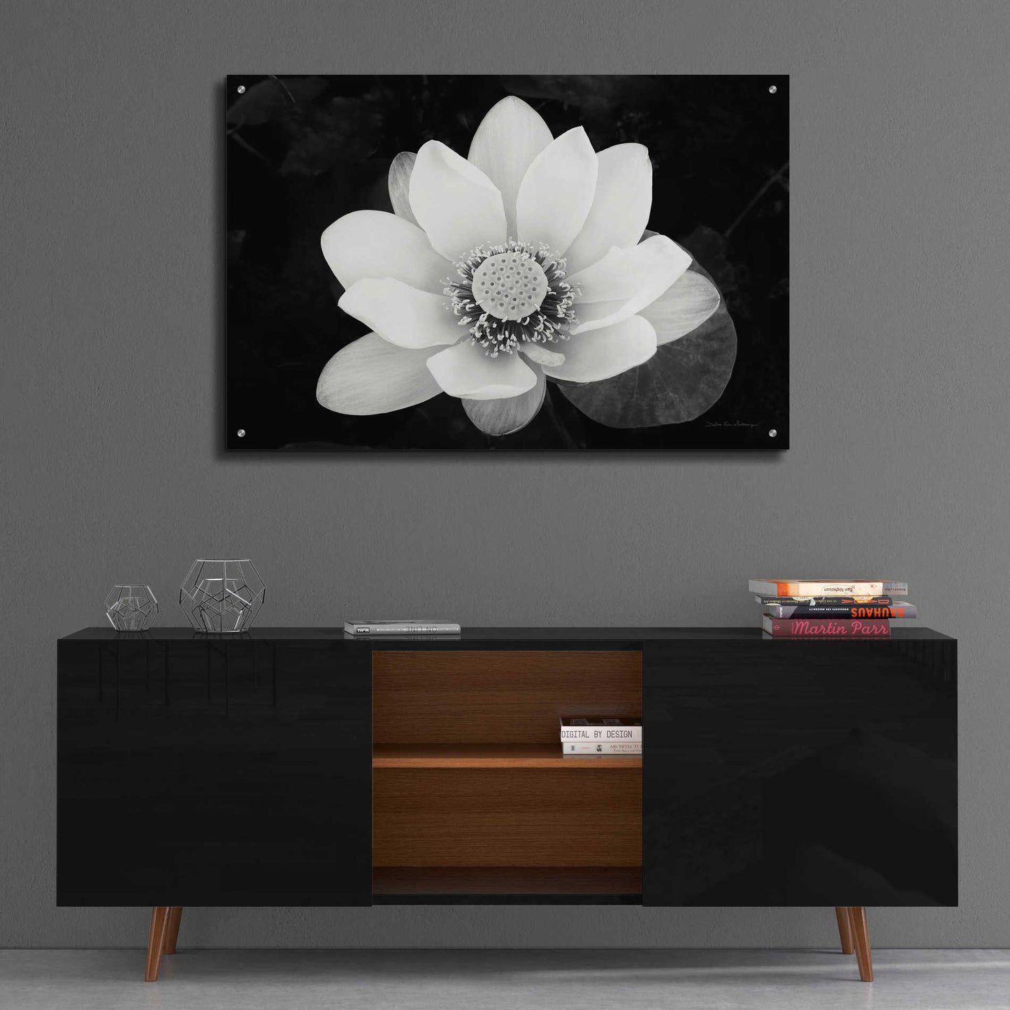 Epic Art 'Lotus Flower II v2' by Debra Van Swearingen, Acrylic Glass Wall Art,36x24