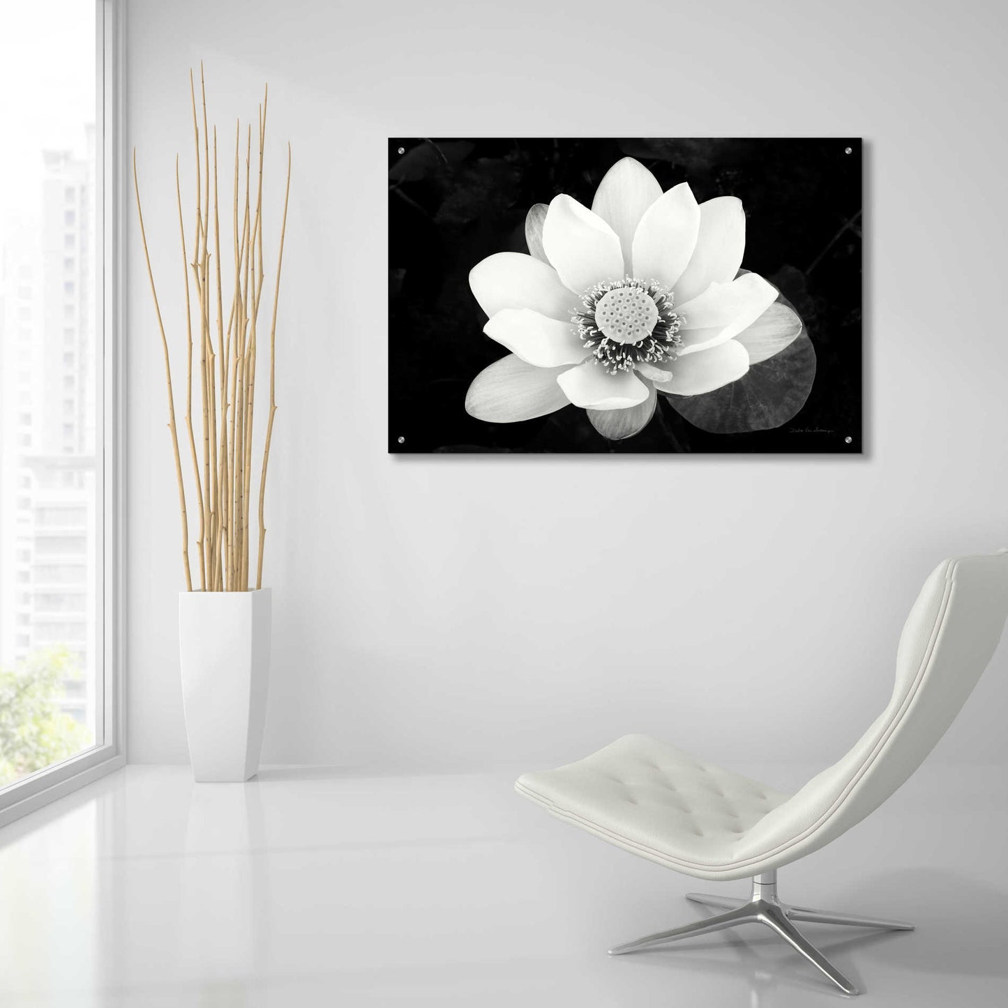 Epic Art 'Lotus Flower II v2' by Debra Van Swearingen, Acrylic Glass Wall Art,36x24