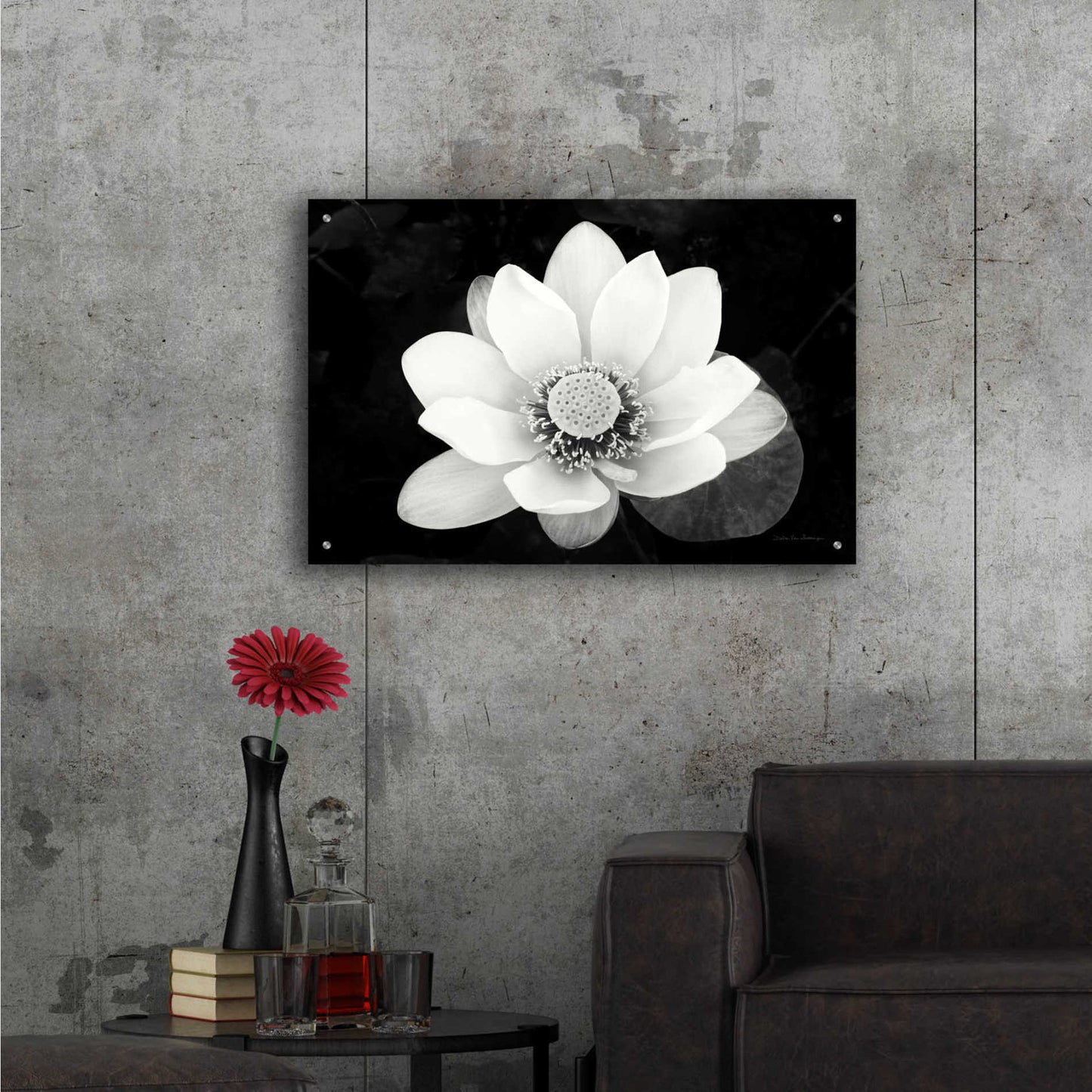 Epic Art 'Lotus Flower II v2' by Debra Van Swearingen, Acrylic Glass Wall Art,36x24