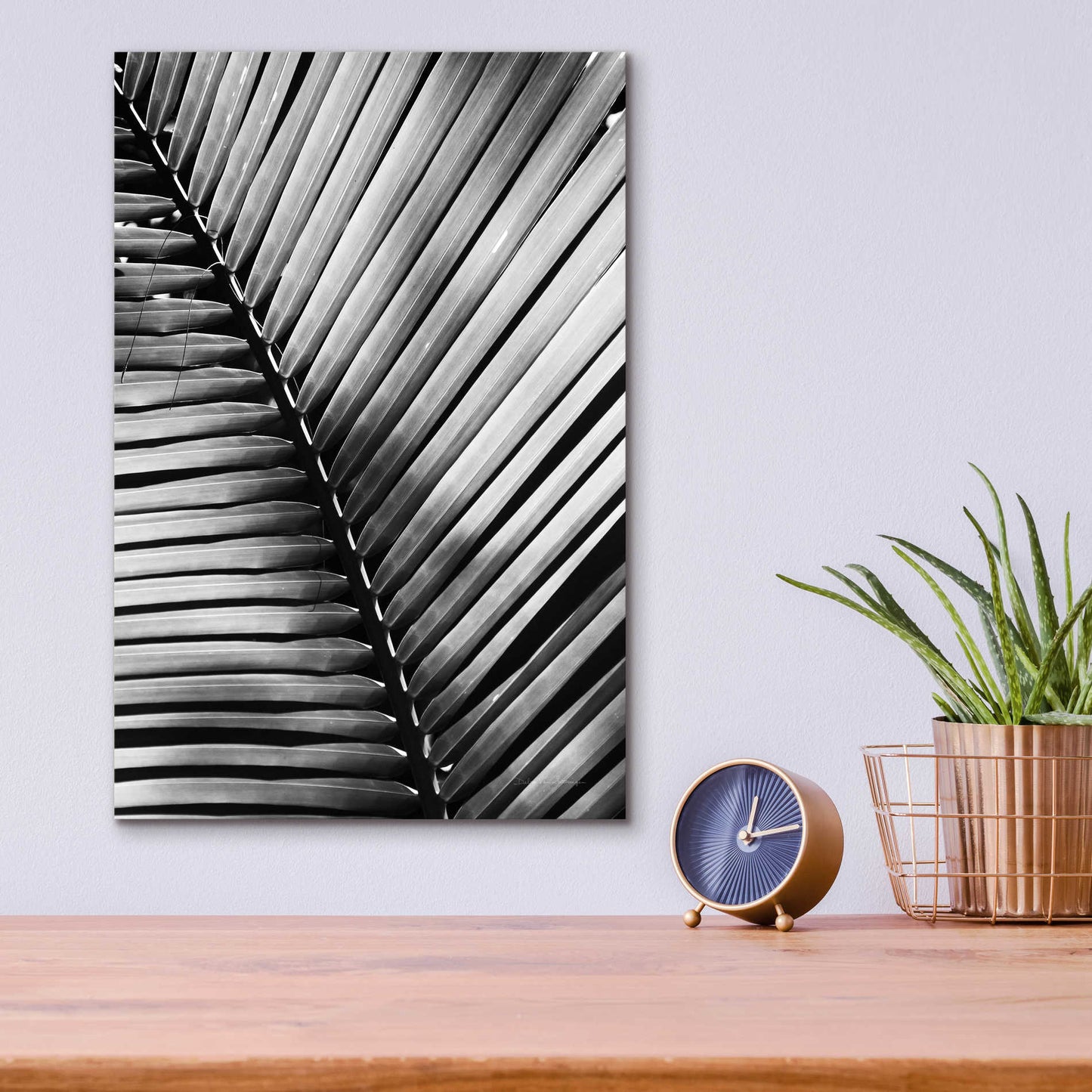 Epic Art 'Palm Frond I' by Debra Van Swearingen, Acrylic Glass Wall Art,12x16