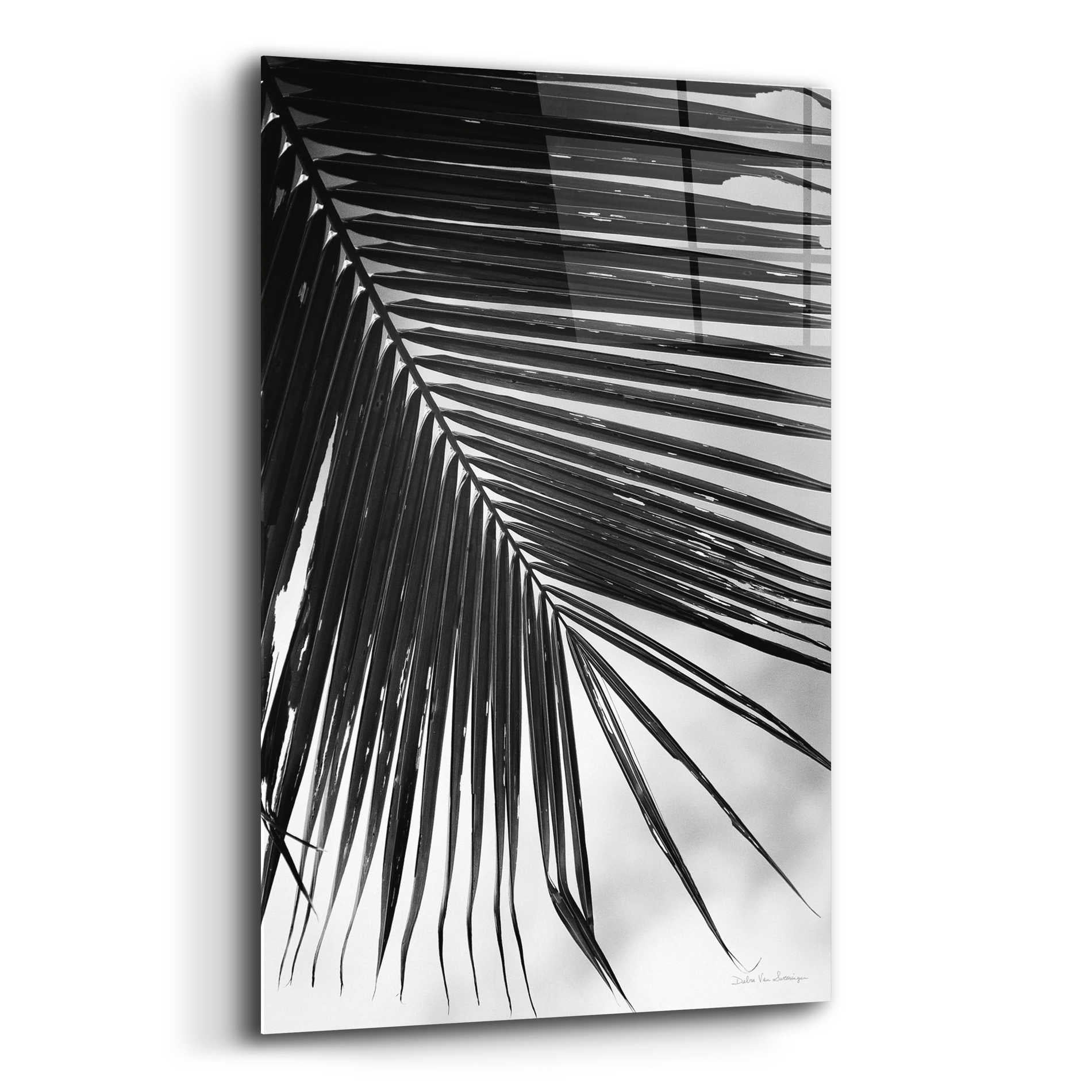 Epic Art 'Palm Frond II' by Debra Van Swearingen, Acrylic Glass Wall Art,12x16