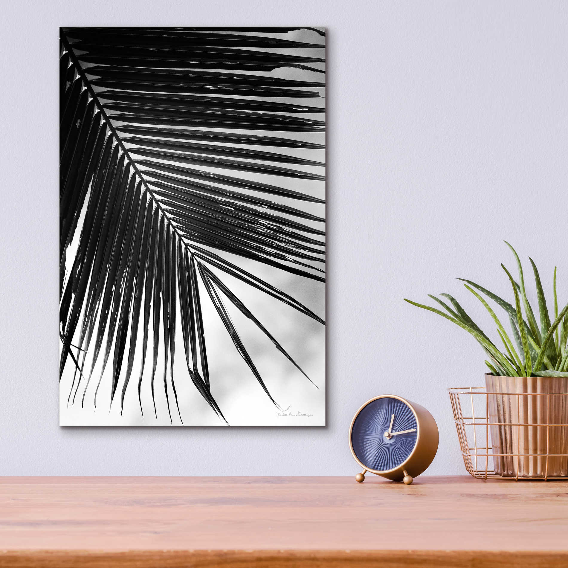 Epic Art 'Palm Frond II' by Debra Van Swearingen, Acrylic Glass Wall Art,12x16