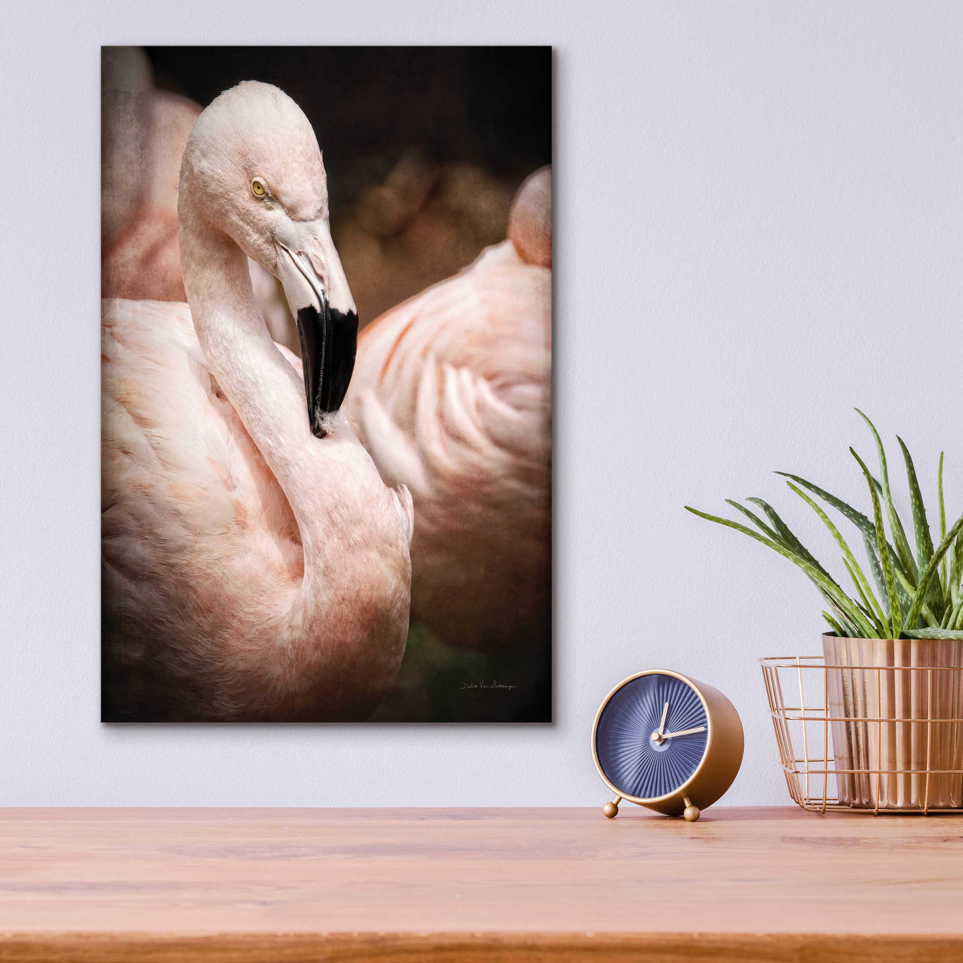 Epic Art 'Chilean Flamingo II' by Debra Van Swearingen, Acrylic Glass Wall Art,12x16