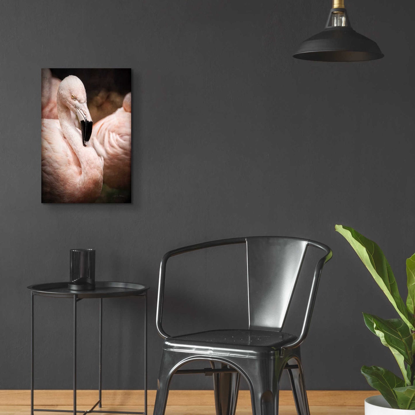 Epic Art 'Chilean Flamingo II' by Debra Van Swearingen, Acrylic Glass Wall Art,16x24