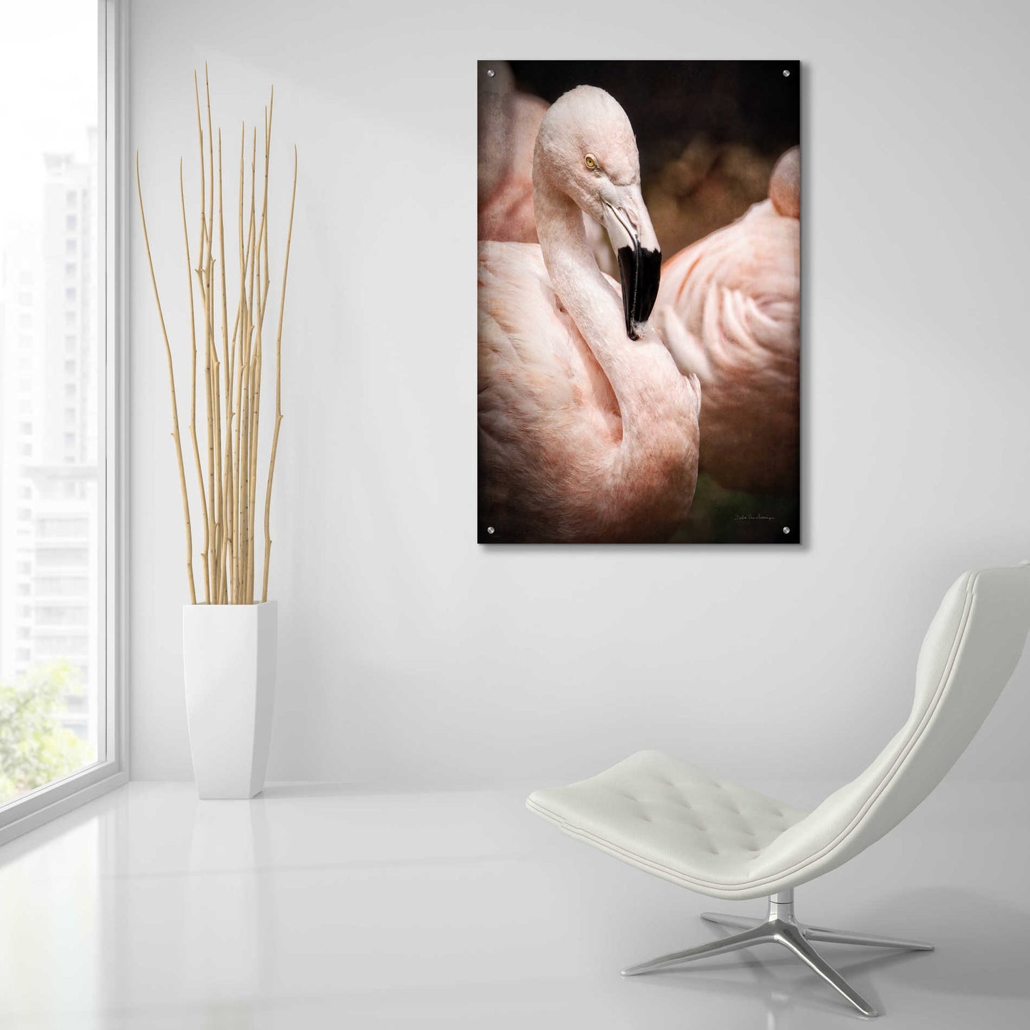 Epic Art 'Chilean Flamingo II' by Debra Van Swearingen, Acrylic Glass Wall Art,24x36