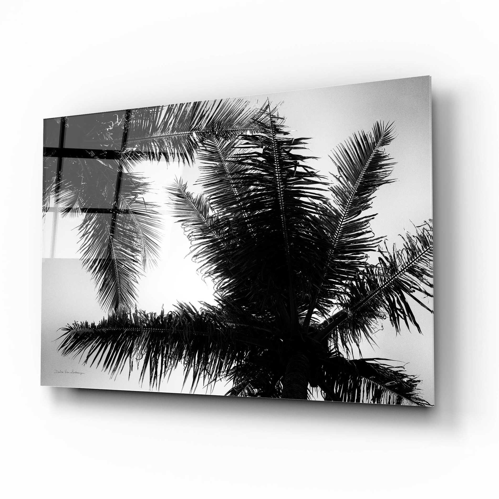 Epic Art 'Palm Tree Looking Up I' by Debra Van Swearingen, Acrylic Glass Wall Art,16x12