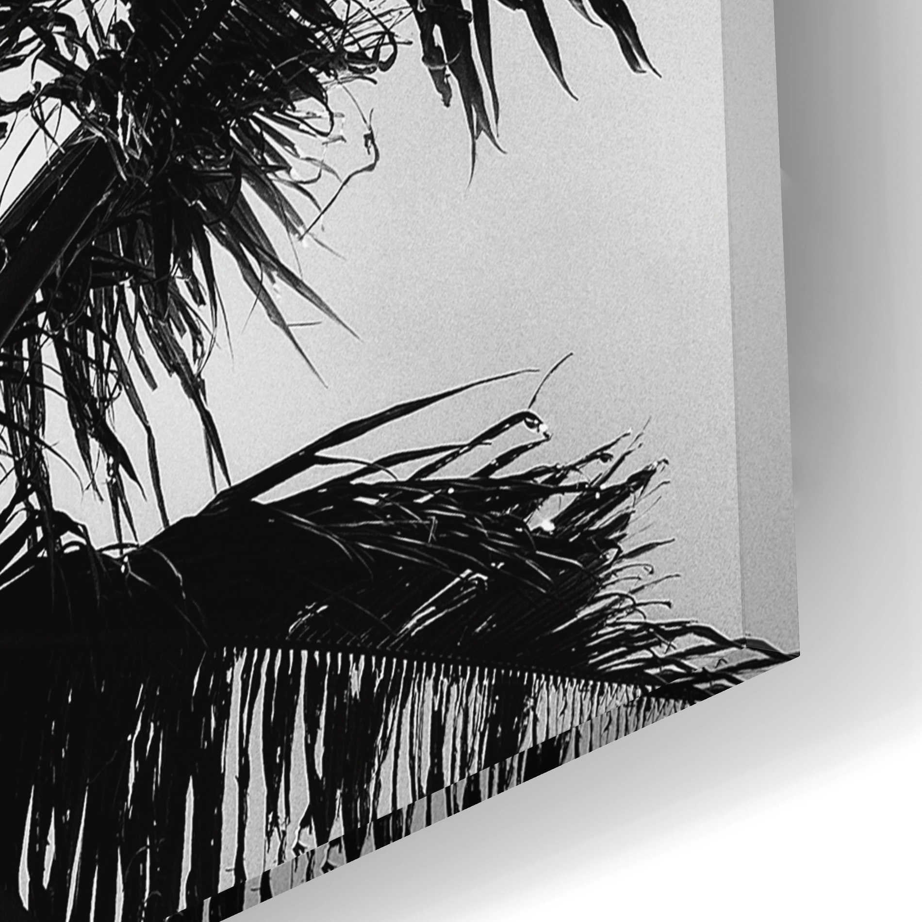 Epic Art 'Palm Tree Looking Up I' by Debra Van Swearingen, Acrylic Glass Wall Art,16x12