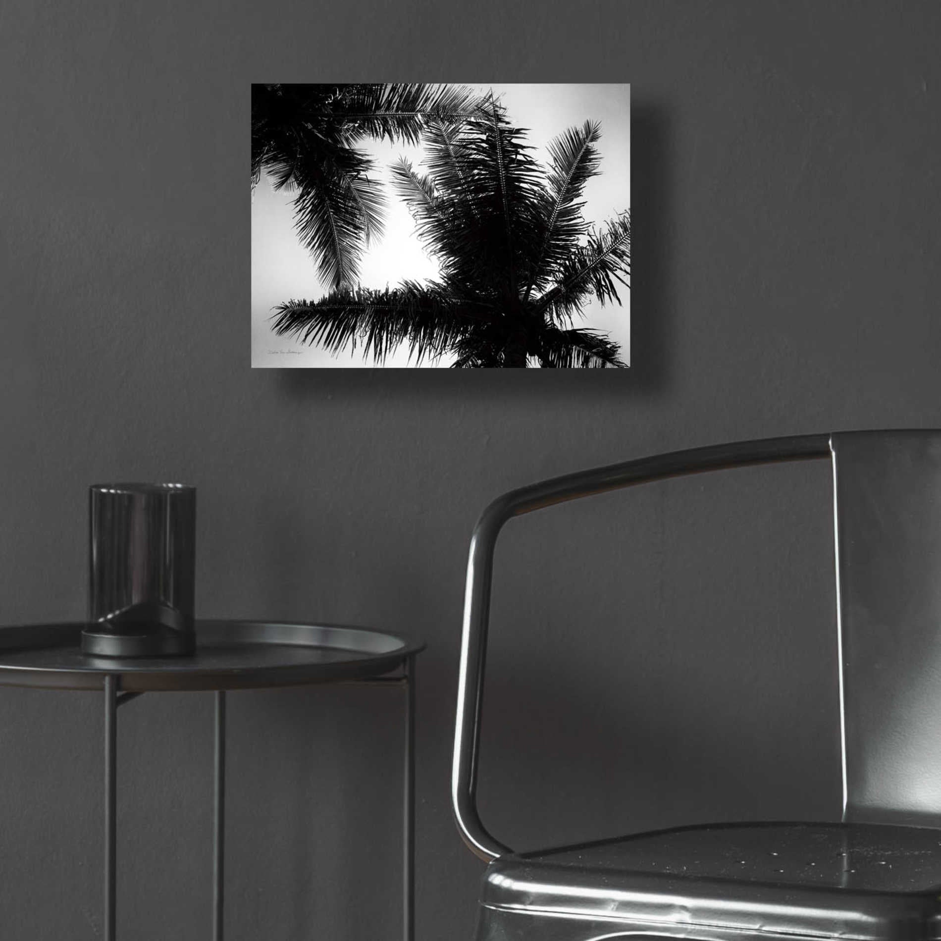 Epic Art 'Palm Tree Looking Up I' by Debra Van Swearingen, Acrylic Glass Wall Art,16x12