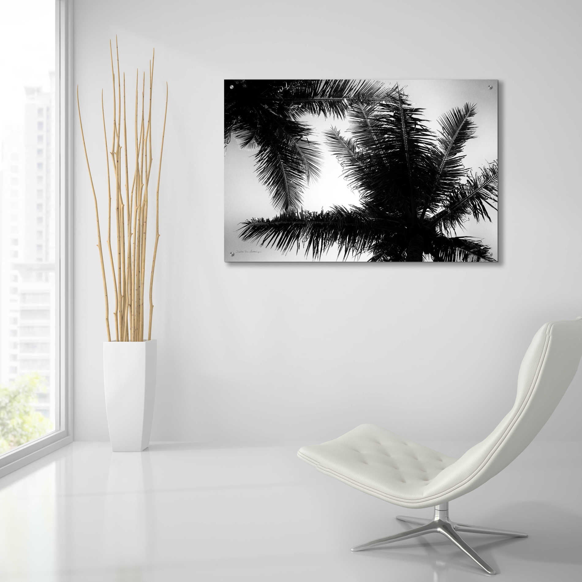 Epic Art 'Palm Tree Looking Up I' by Debra Van Swearingen, Acrylic Glass Wall Art,36x24