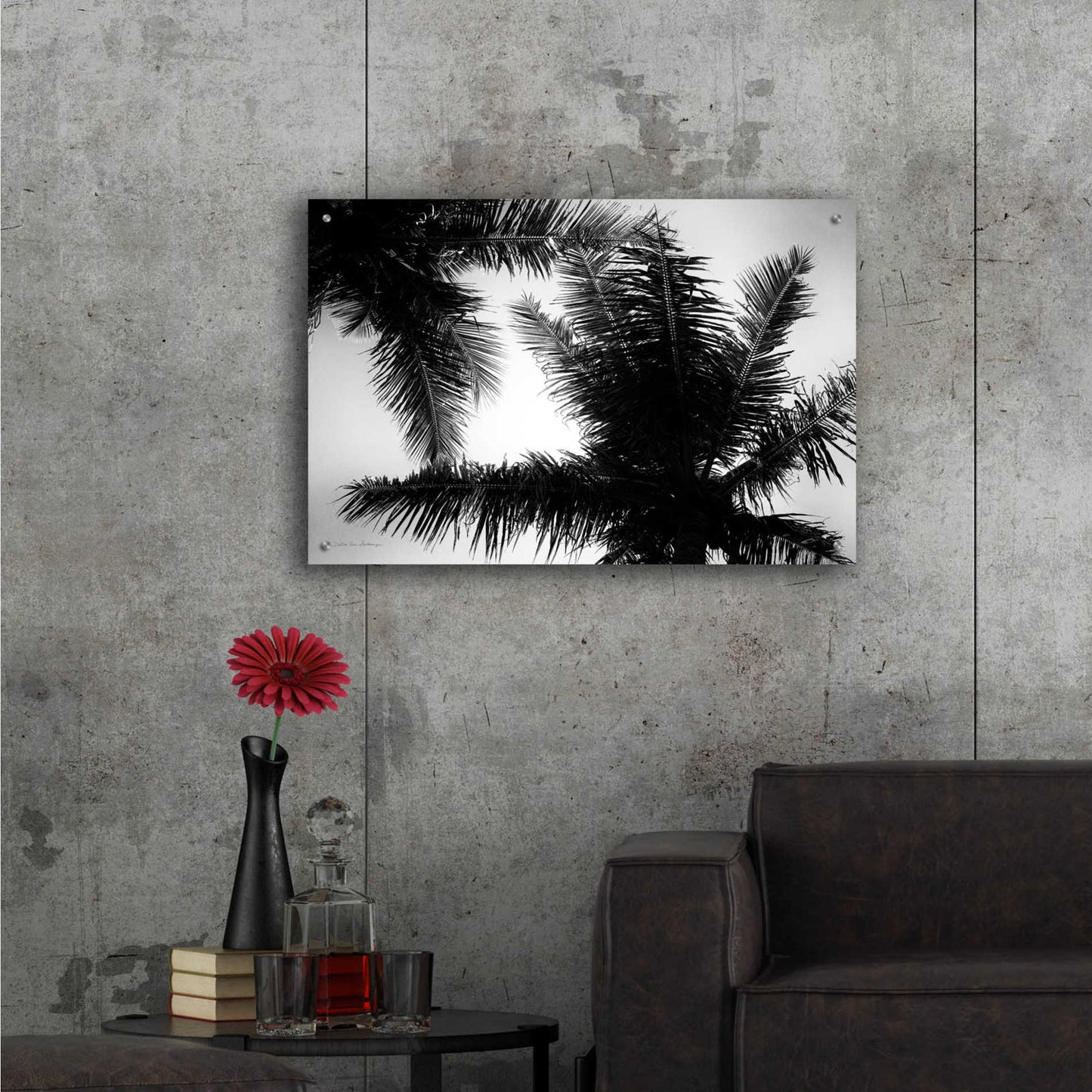 Epic Art 'Palm Tree Looking Up I' by Debra Van Swearingen, Acrylic Glass Wall Art,36x24