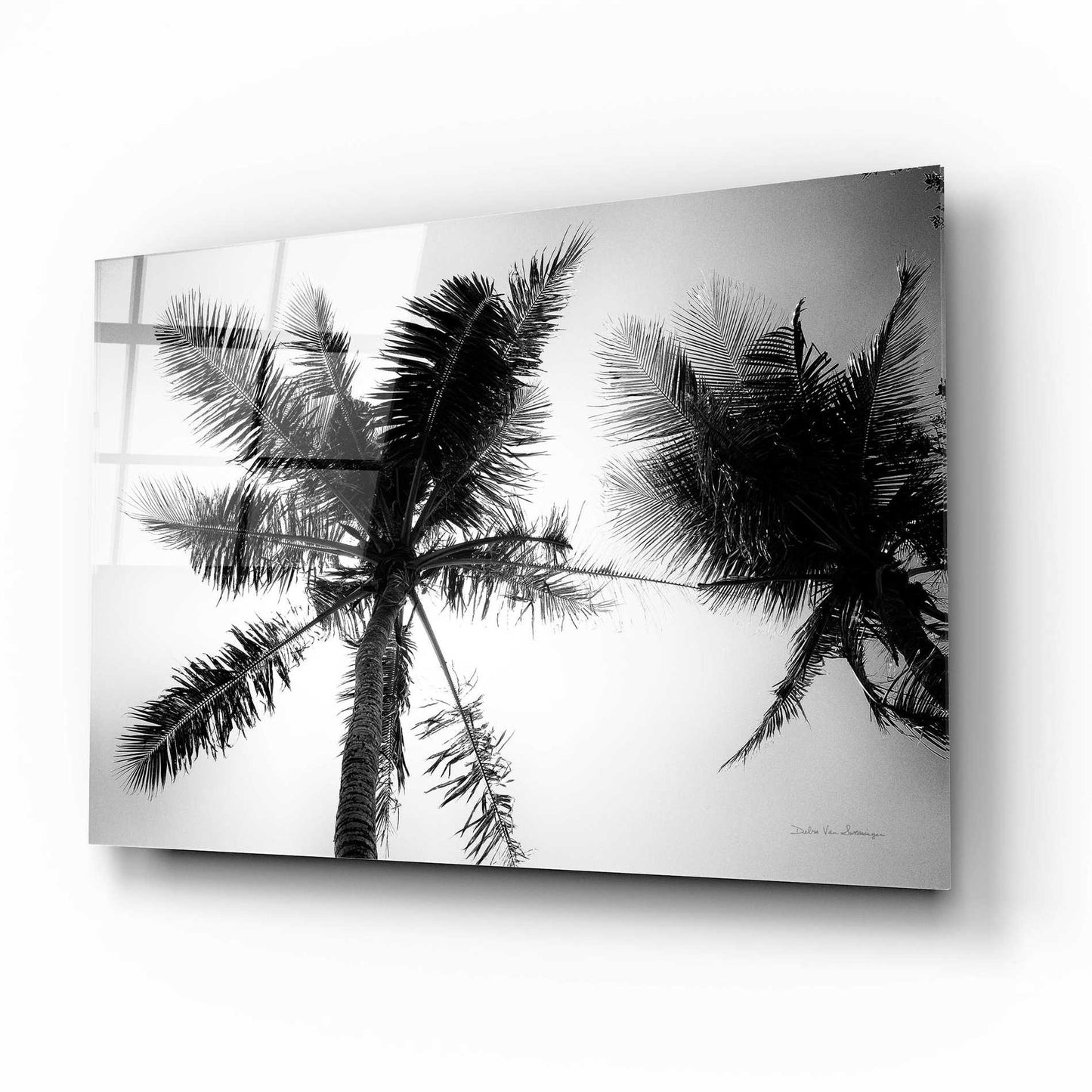 Epic Art 'Palm Tree Looking Up II' by Debra Van Swearingen, Acrylic Glass Wall Art,16x12