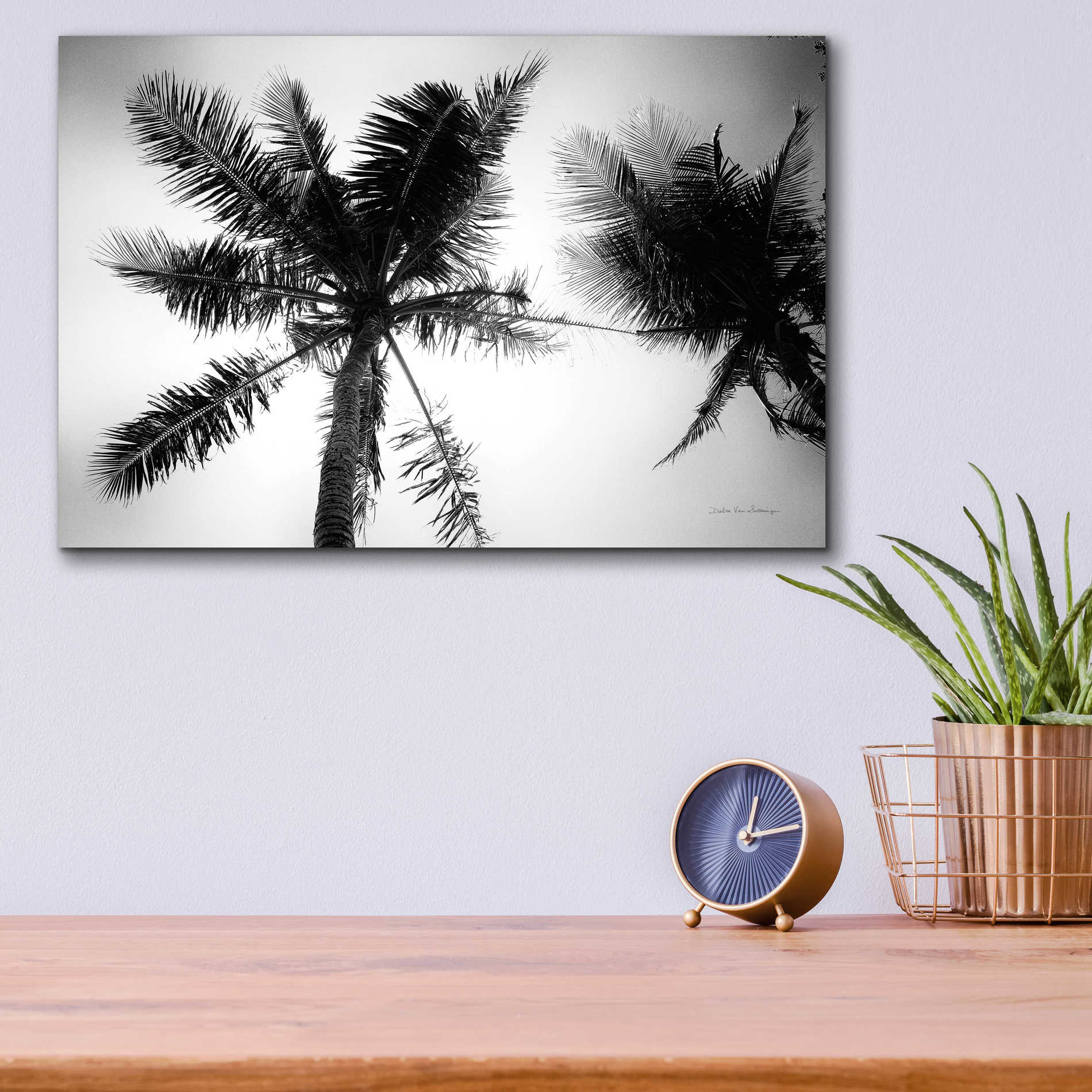 Epic Art 'Palm Tree Looking Up II' by Debra Van Swearingen, Acrylic Glass Wall Art,16x12